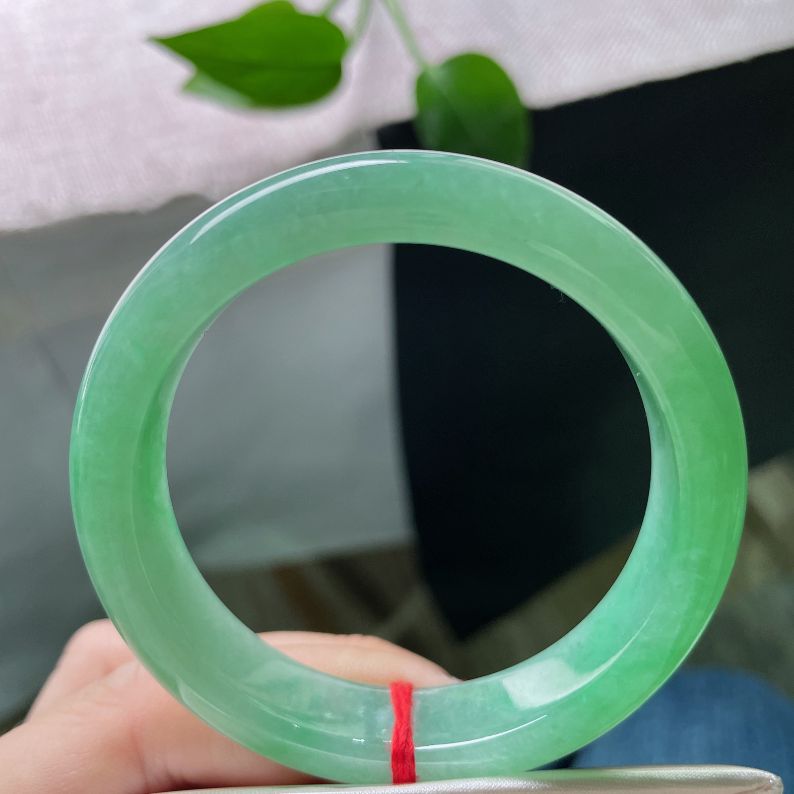 54.1/12.7/7.9绿底正圈，种老，春光无限，一抬手遍惊艳了时光，ss51676a..