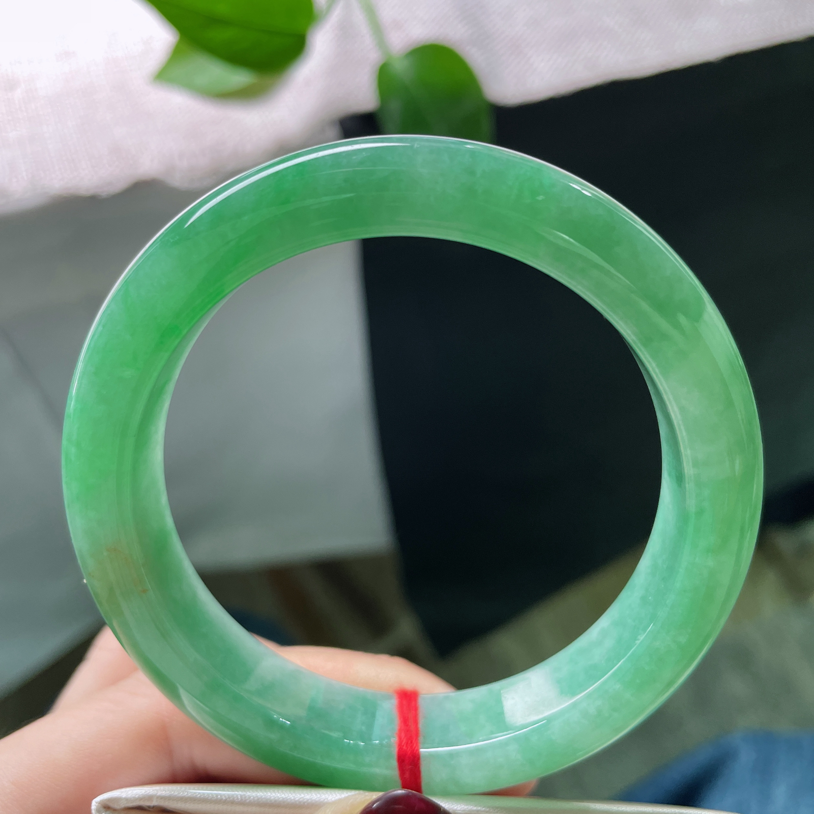 59/12.6/9.1，绿底正圈，种老，细润，世间斑斓，唯此绝色。洒金，ss51689a..