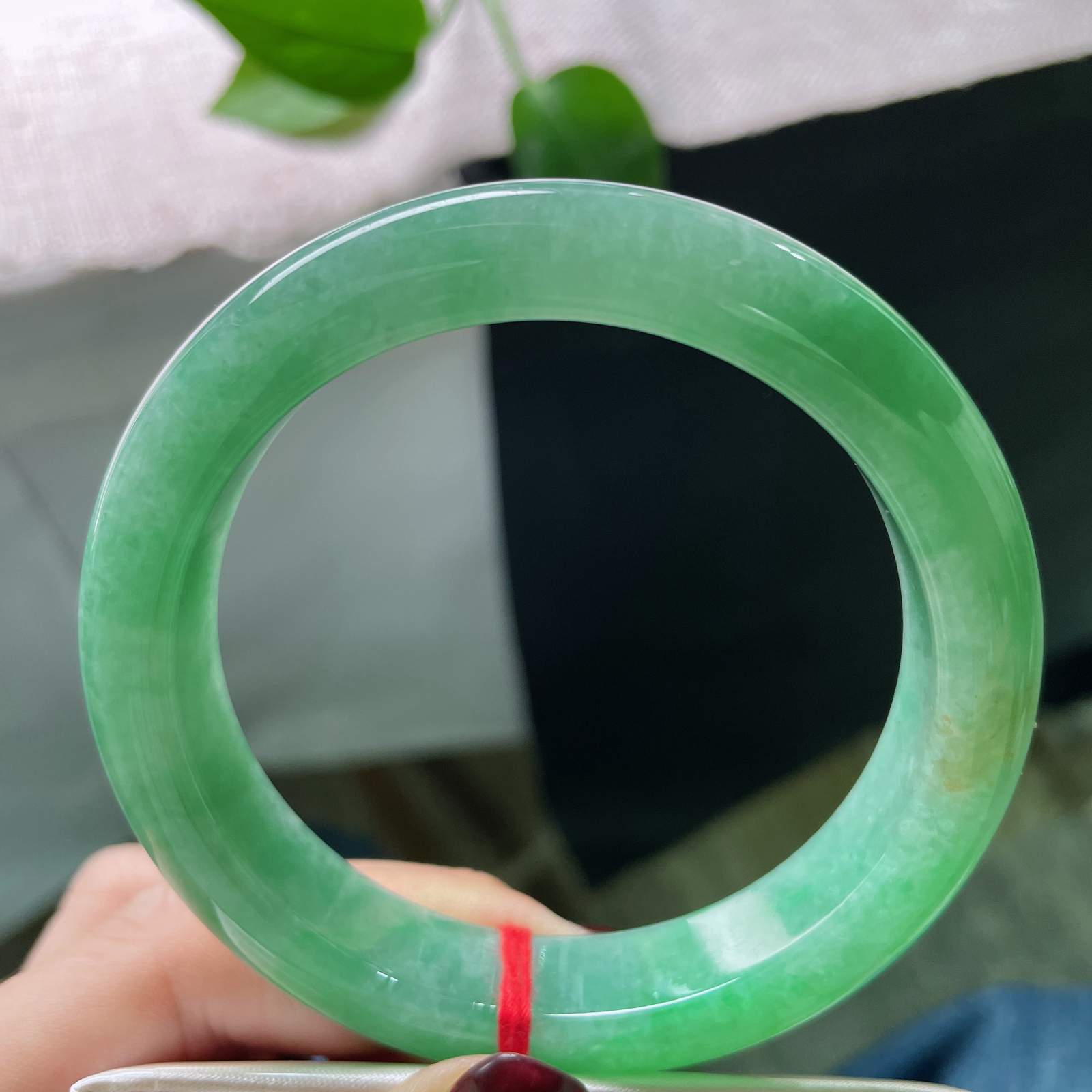 59/12.6/9.1，绿底正圈，种老，细润，世间斑斓，唯此绝色。洒金，ss51689a..