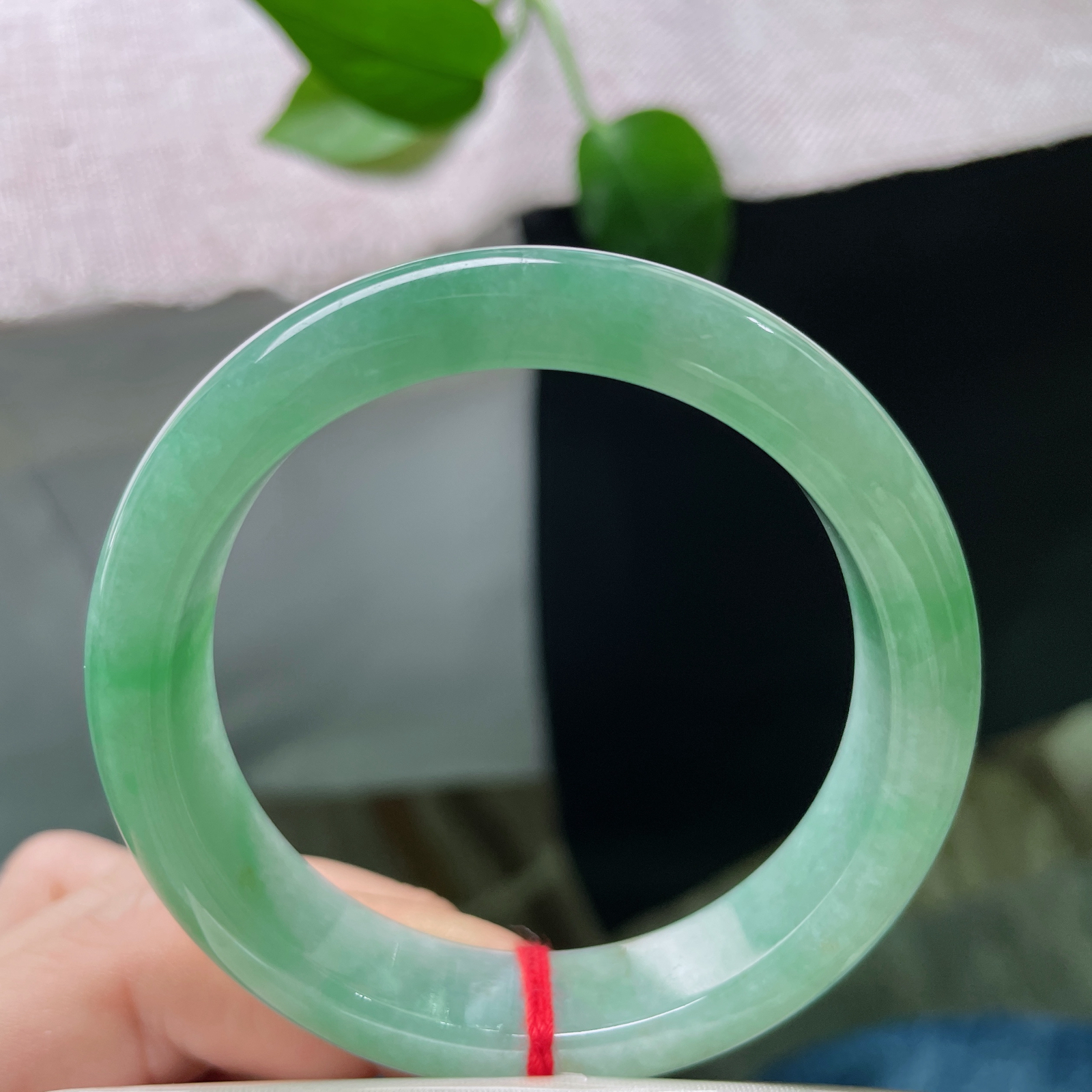 53/12.7/7.9，绿底正圈，像初夏清晨，沾着露珠的天鹅绒叶片，那种厚重又柔软的颜色。洒金，皮纹，ss51654a..