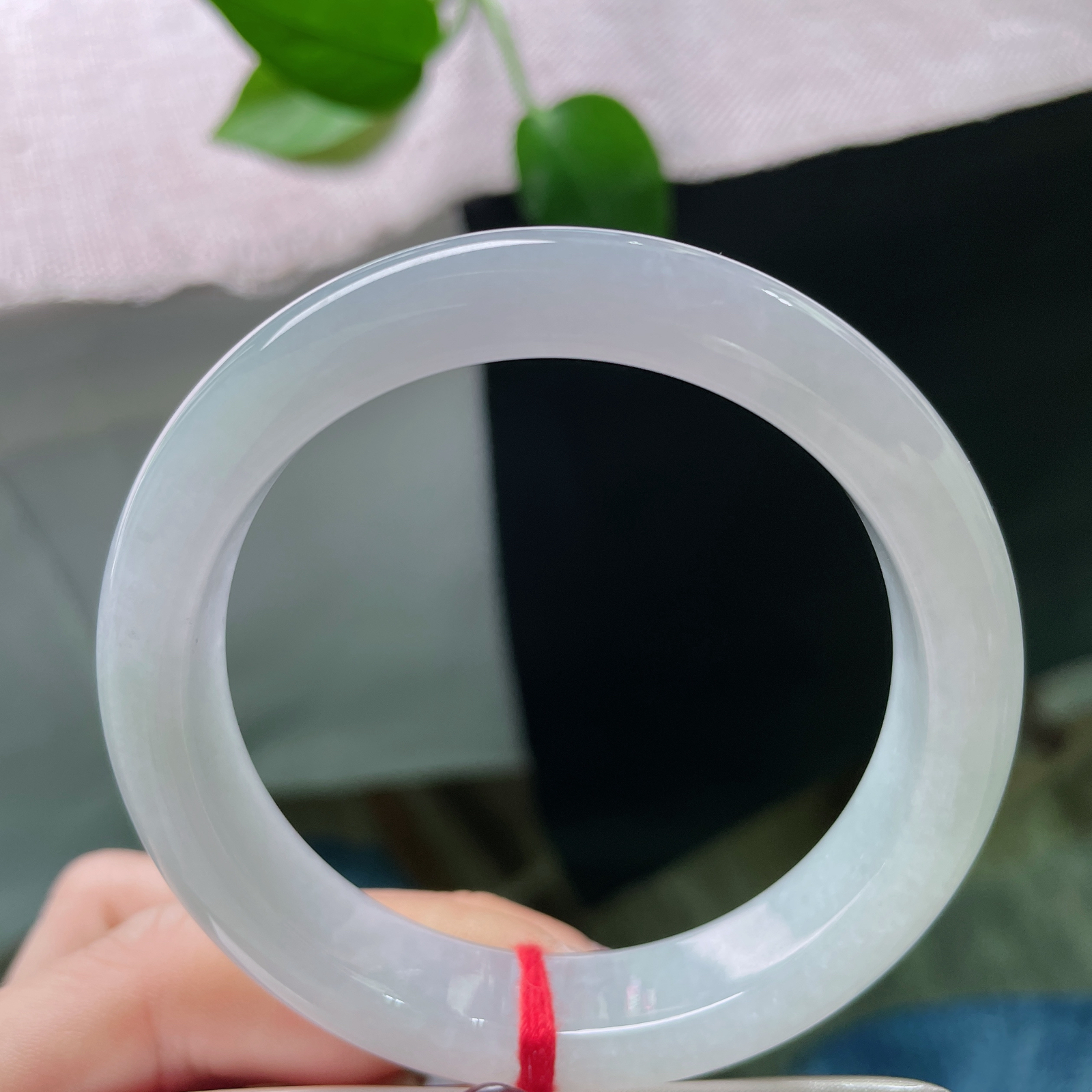 54.8/11.9/8.4淡紫淡绿正圈，温柔素雅，淡紫是未醒的梦，淡绿是初醒的风，ss51450a..