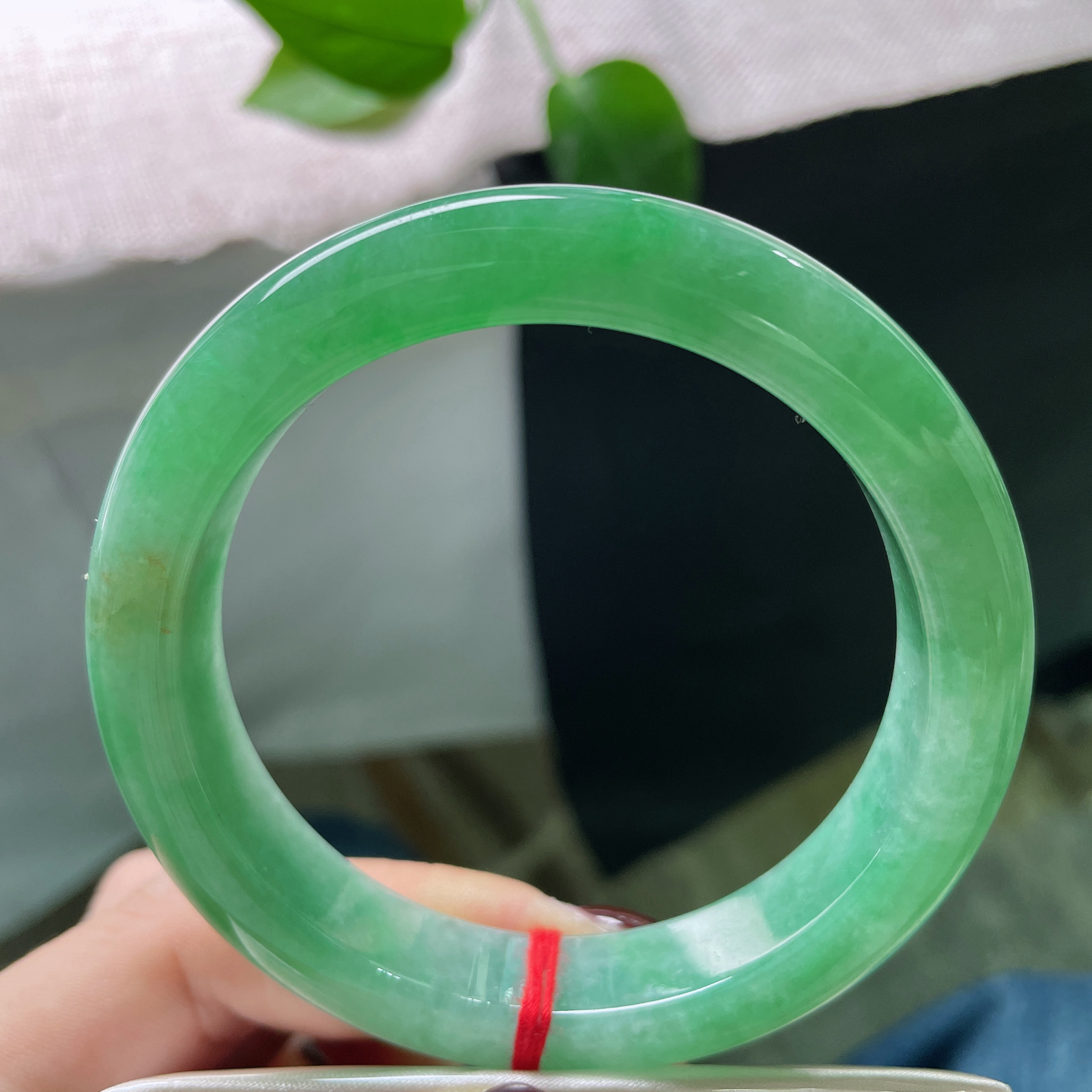 59/12.6/9.1，绿底正圈，种老，细润，世间斑斓，唯此绝色。洒金，ss51689a..