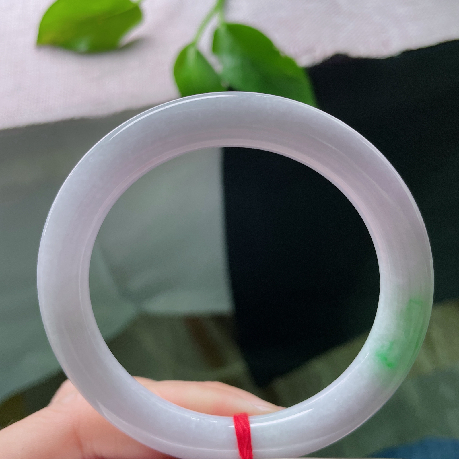 55.3/8.7紫罗兰圆条，秀丽倾心，一抹翠色，甜美，ss51808a..