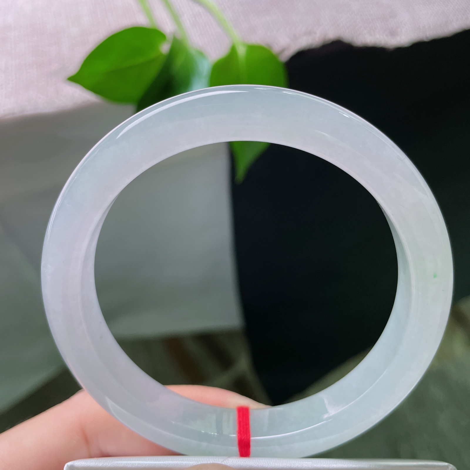 59.7/11.2/8.7，冰春彩正圈。韵味悠长，像晨雾里未醒的丁香，烂漫天真..