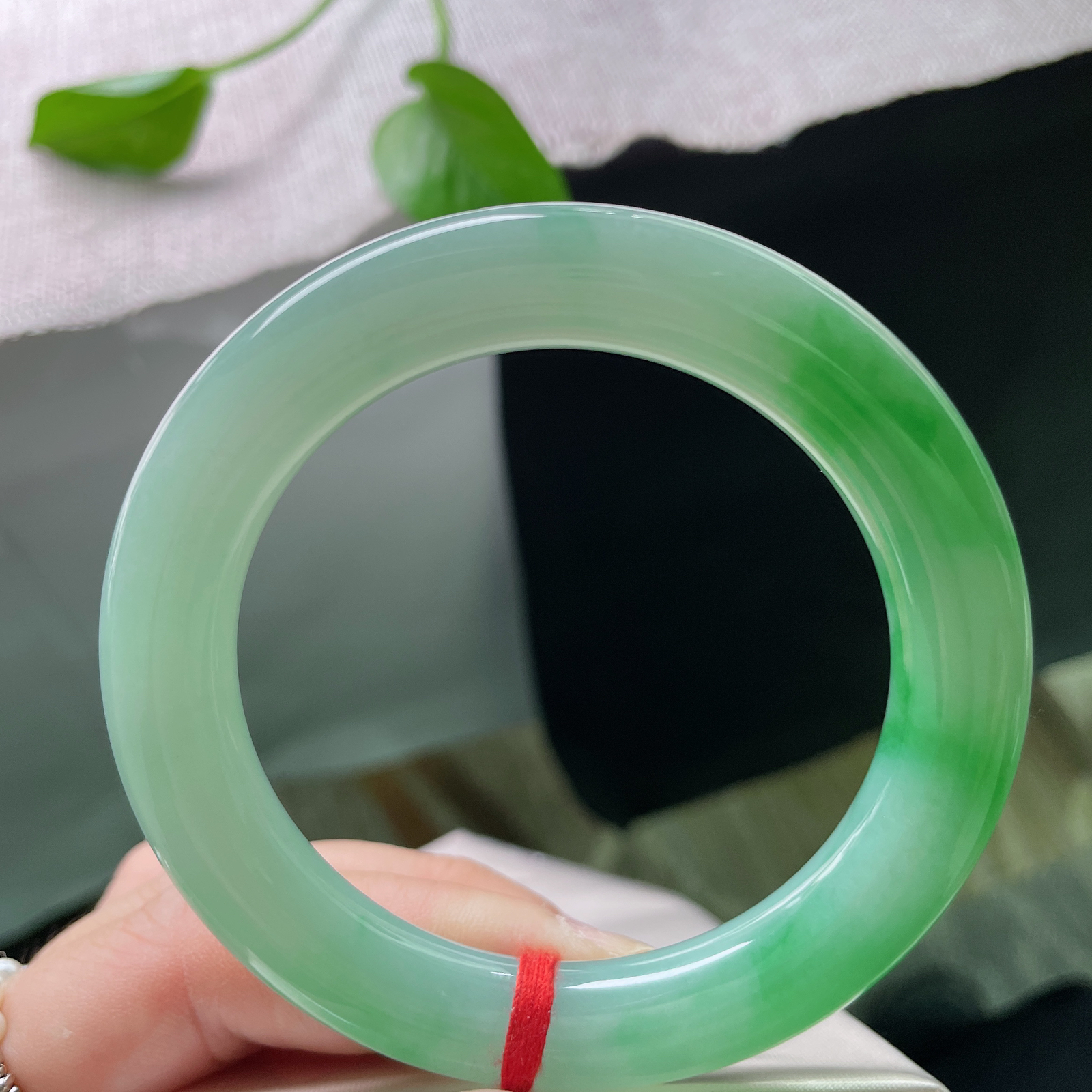 56.4/11，阳绿圆条，春色满园，水润，版型好，耐看，传承之美ss51777a