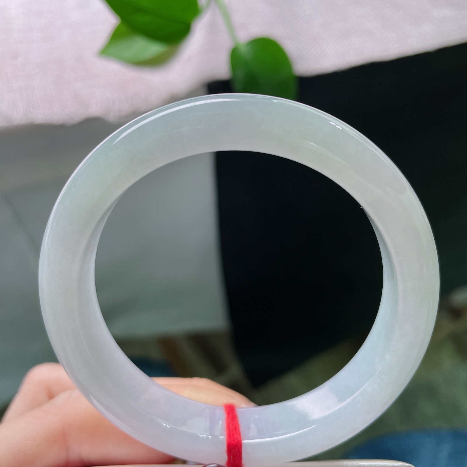 54.8/11.9/8.4淡紫淡绿正圈，温柔素雅，淡紫是未醒的梦，淡绿是初醒的风，ss51450a.