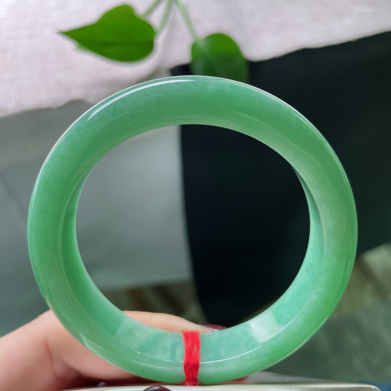 53.6/12.1/8.4，苹果绿正圈，青翠夺目，细润，腕泊青山，袖笼翠色。皮纹，ss51756a.