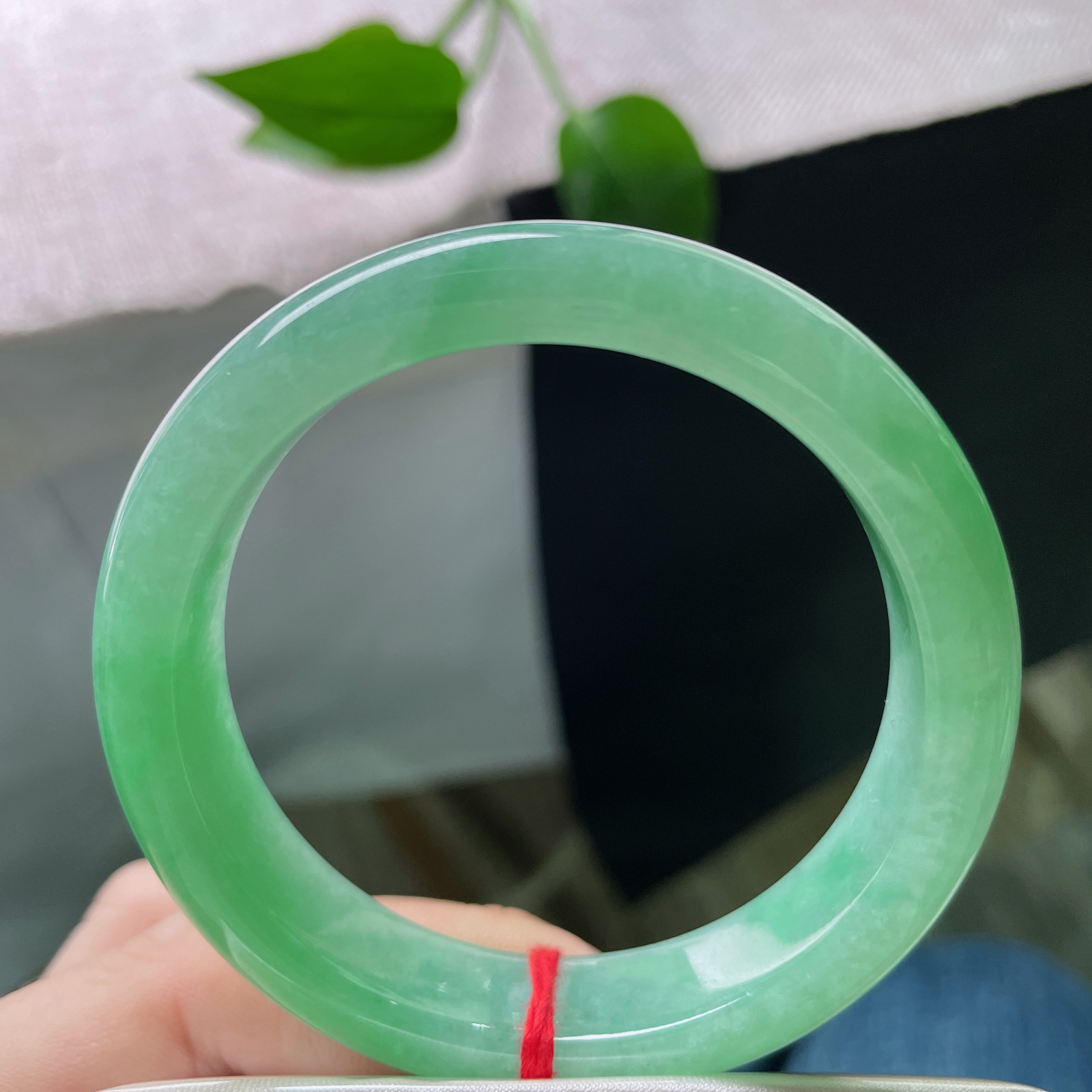 54.1/12.7/7.9绿底正圈，种老，春光无限，一抬手遍惊艳了时光，ss51676a..