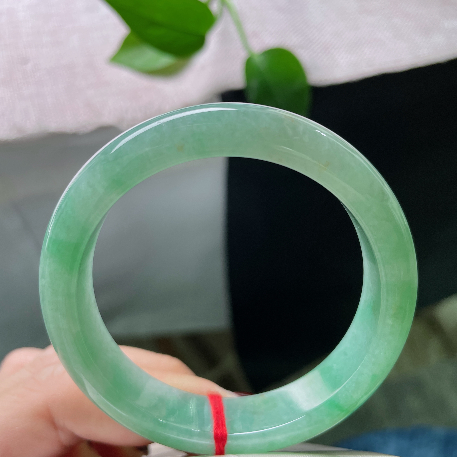 53/12.7/7.9，绿底正圈，像初夏清晨，沾着露珠的天鹅绒叶片，那种厚重又柔软的颜色。洒金，皮纹