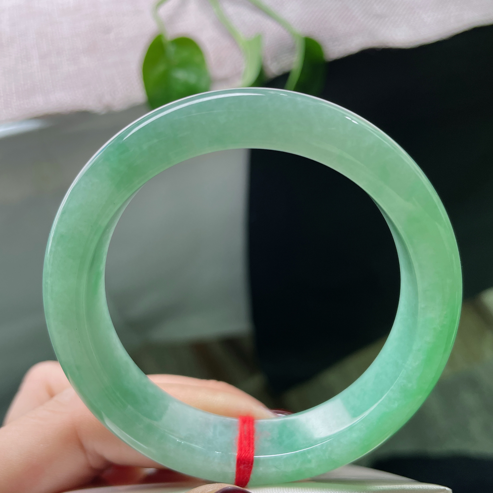 53.8/12.7/8.5，绿底正圈，举足轻晃间仿佛荡漾起阵阵涟漪，温柔仙美，棉纹，ss50862a..