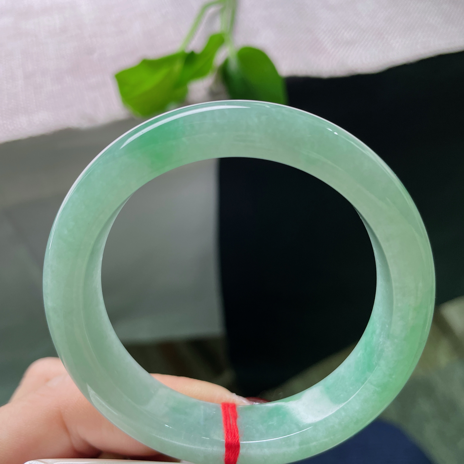 53.7/12.7/8.6果绿底正圈，颜色甜美，简单好看，清新又治愈，ss51644a..