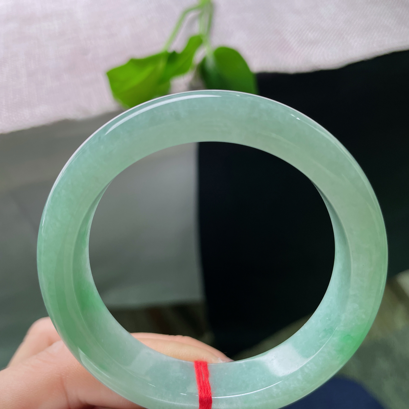 53.7/12.7/8.6果绿底正圈，颜色甜美，简单好看，清新又治愈，ss51644a..