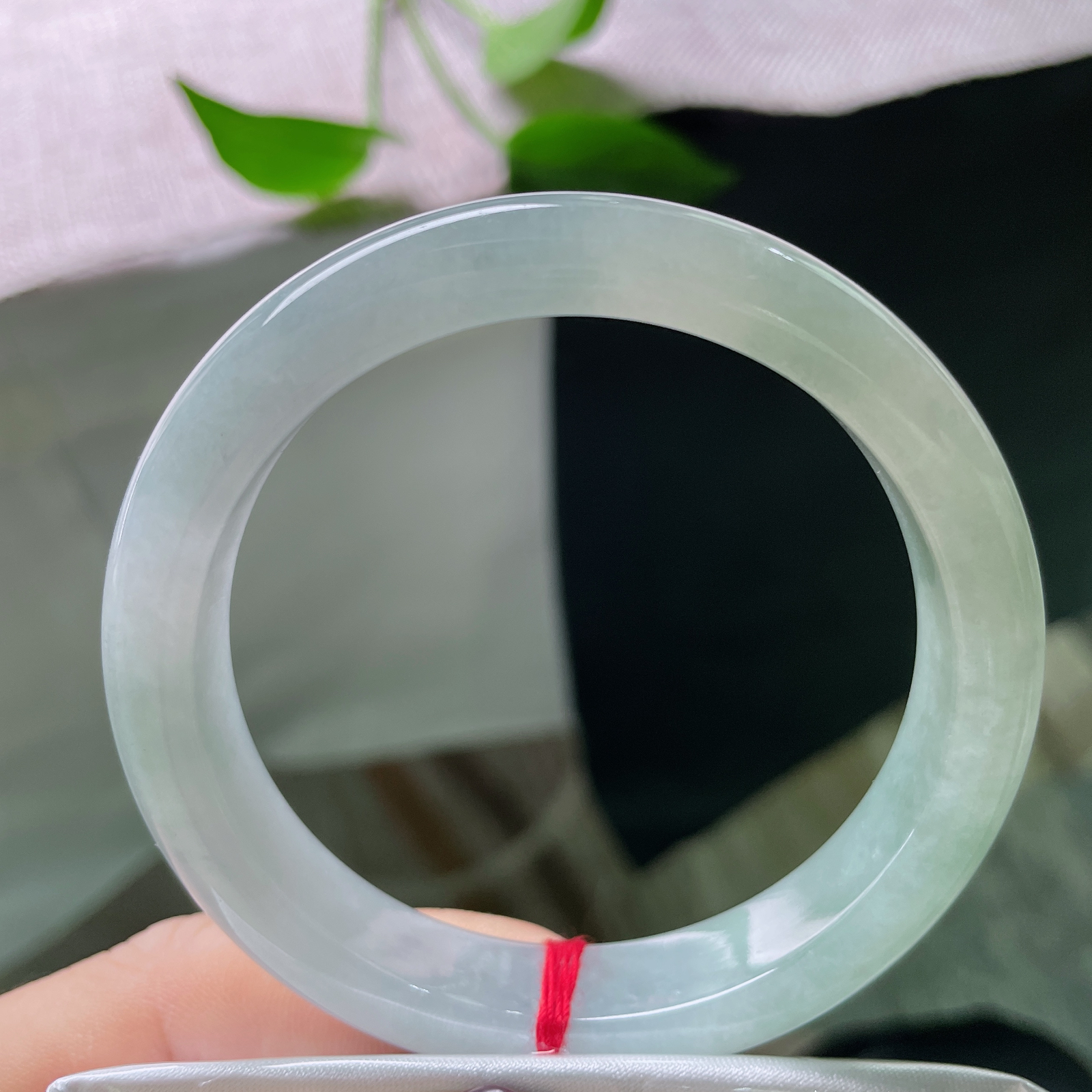 56.2/11.3/7.7，浅蓝底正圈，轻柔优雅，种老，池塘冷暖水清浅ss50509a