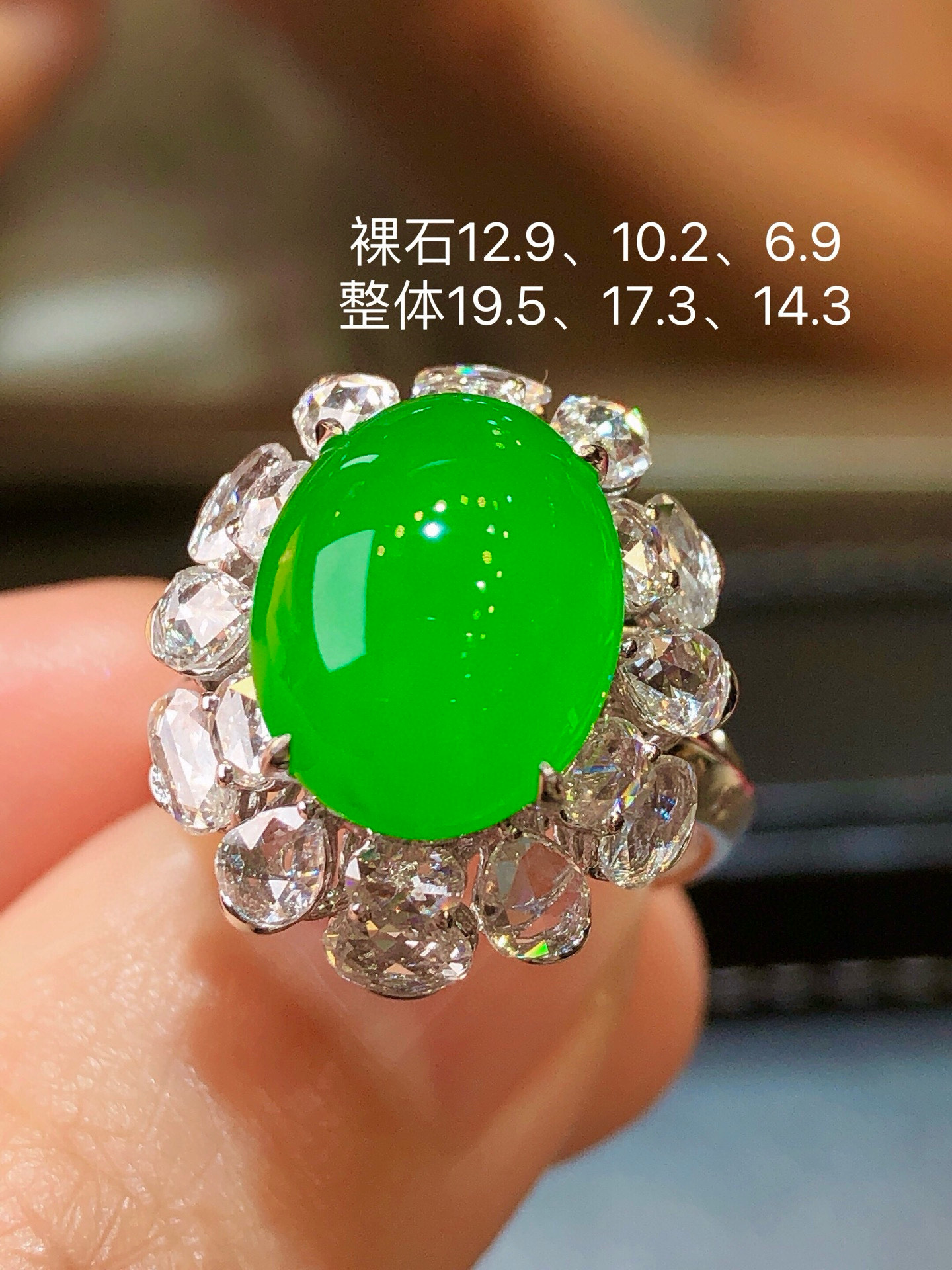 ️ 正阳绿大戒指 超细腻，纯净无棉，19.5-17.3-14.3