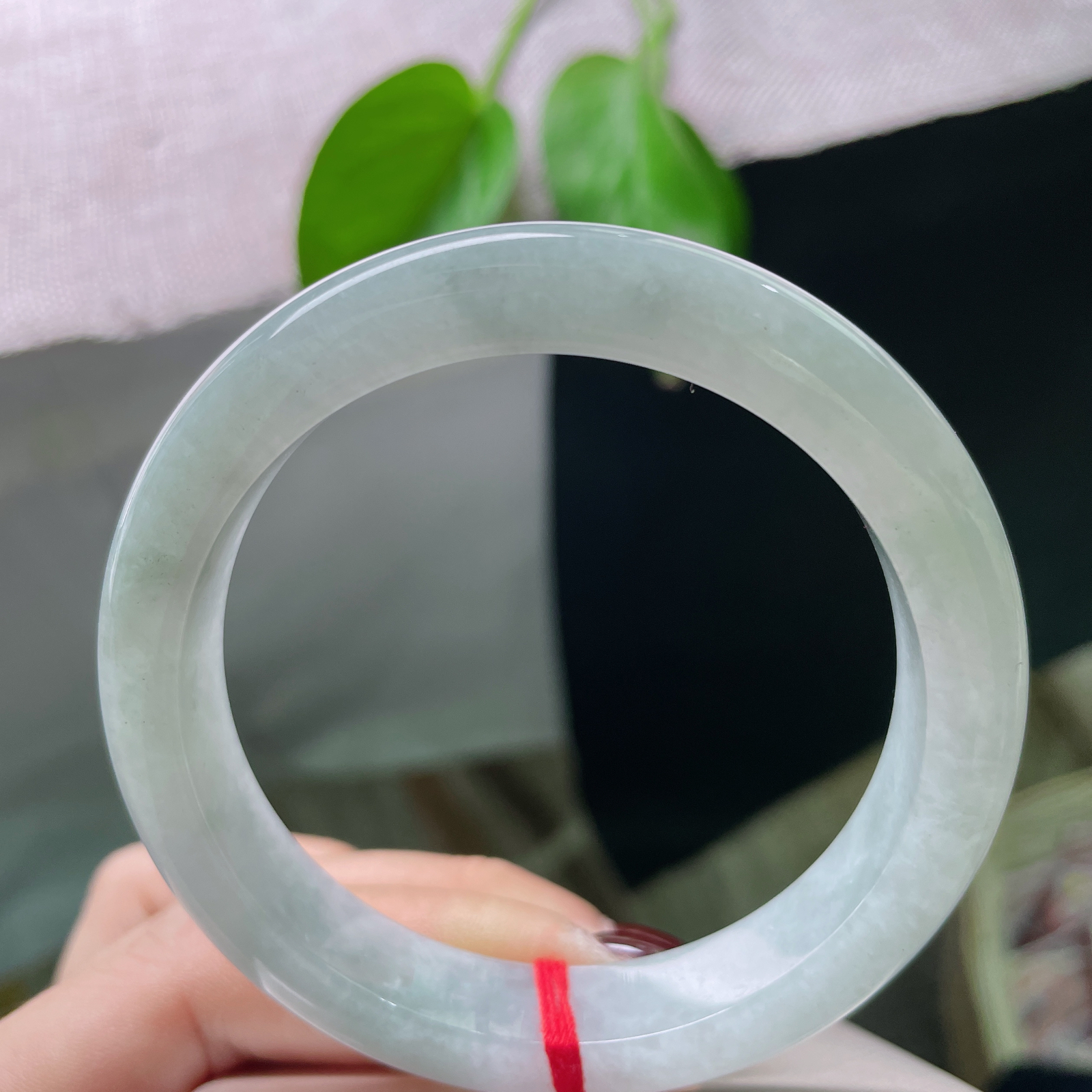 #私人专拍链接，特批价格
56.5*11.8*8.3 ss50993a