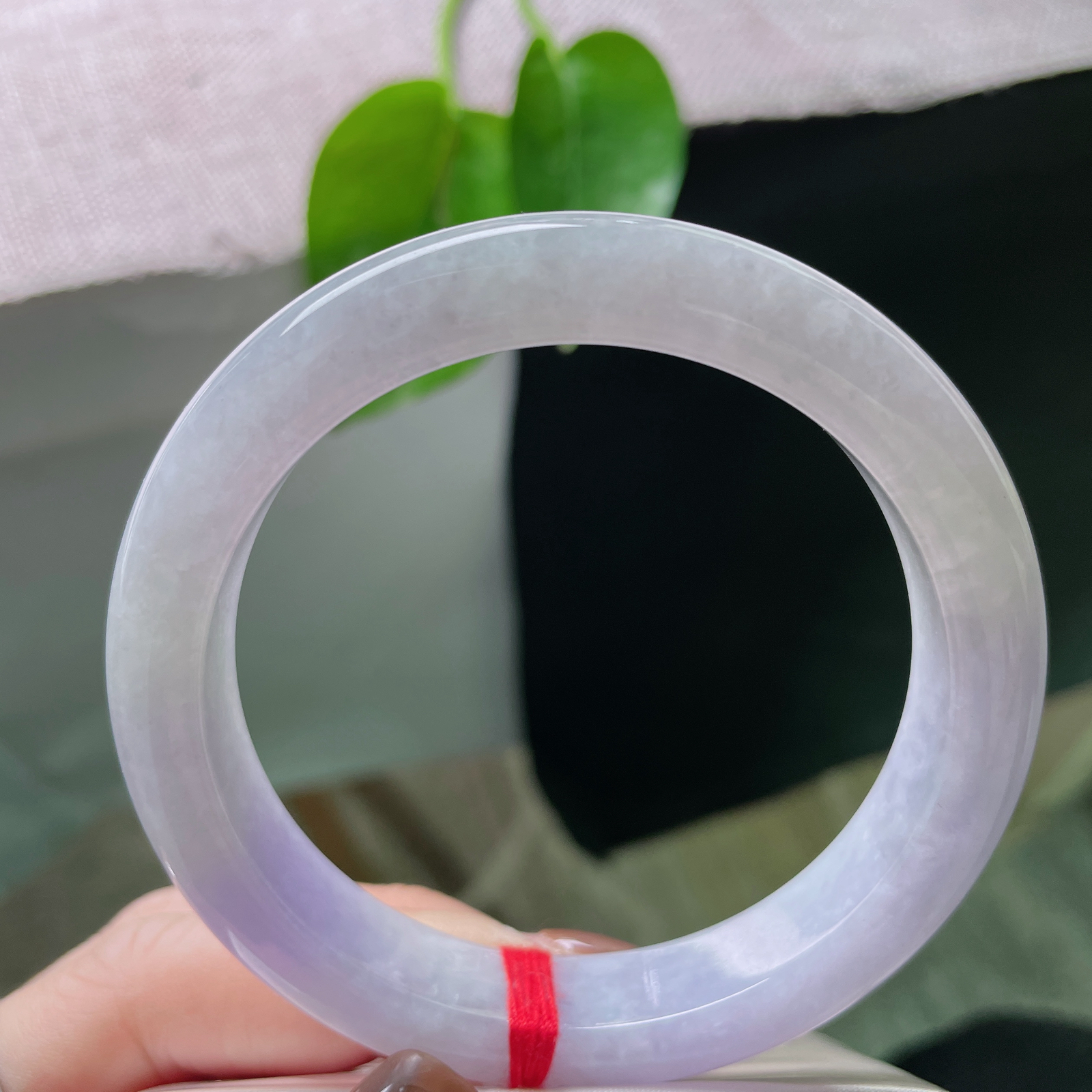 59.4/11.8/9.2，紫罗兰正圈，像是天边那一抹最温柔的晚霞，带着淡淡的紫韵，如梦如幻。ss5