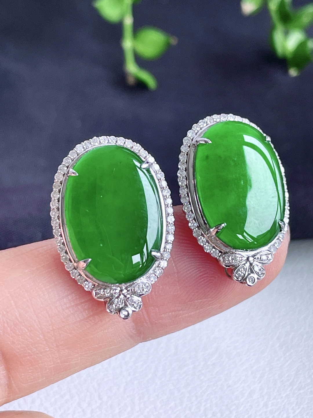 冰辣绿大蛋面大鸽子蛋耳钉，18k金镶嵌，无裂，性比高，22.7/15/6.5，16.7/11.7/2，6.4克