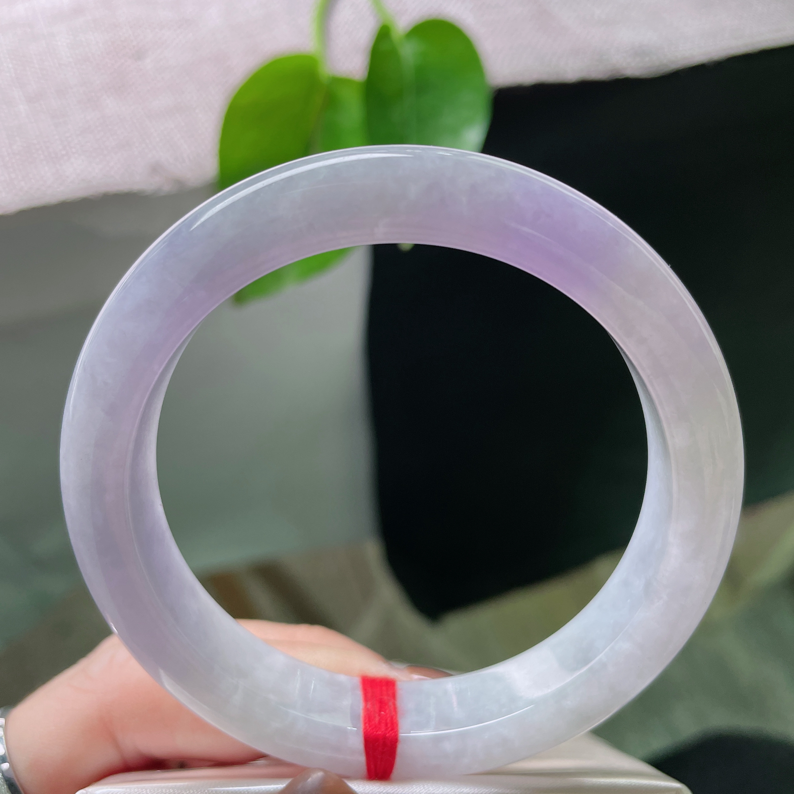 59.4/11.8/9.2，紫罗兰正圈，像是天边那一抹最温柔的晚霞，带着淡淡的紫韵，如梦如幻。ss50244a..