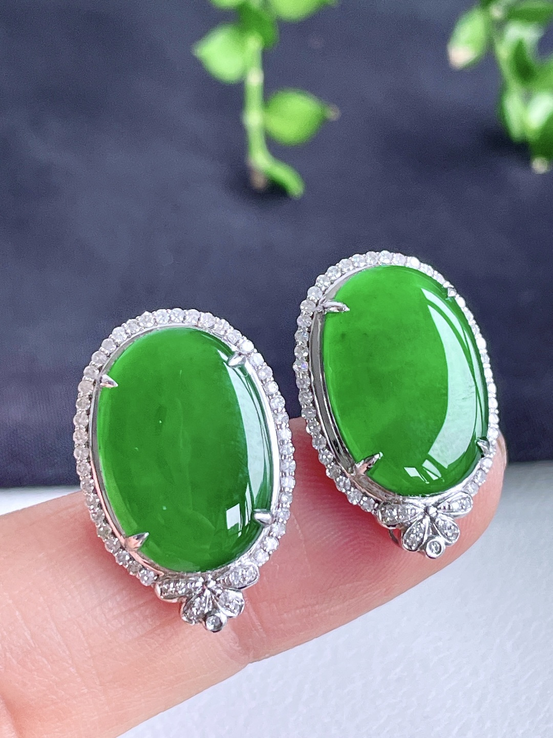 冰辣绿大蛋面大鸽子蛋耳钉，18k金镶嵌，无裂，性比高，22.7/15/6.5，16.7/11.7/2