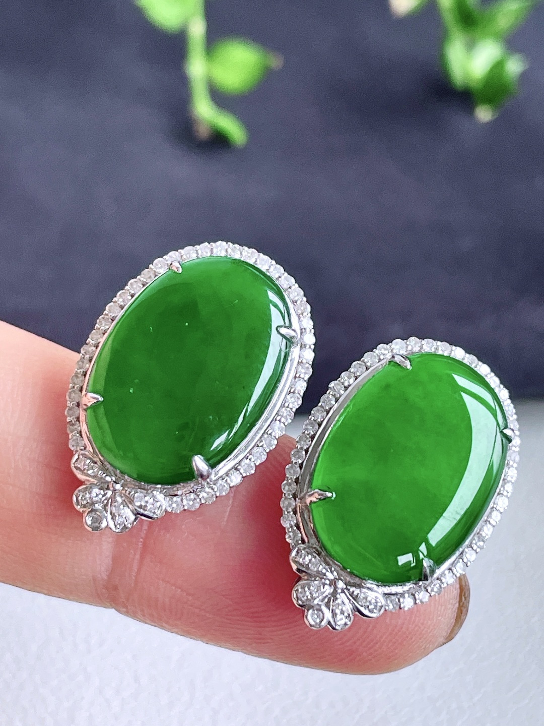 冰辣绿大蛋面大鸽子蛋耳钉，18k金镶嵌，无裂，性比高，22.7/15/6.5，16.7/11.7/2，6.4克