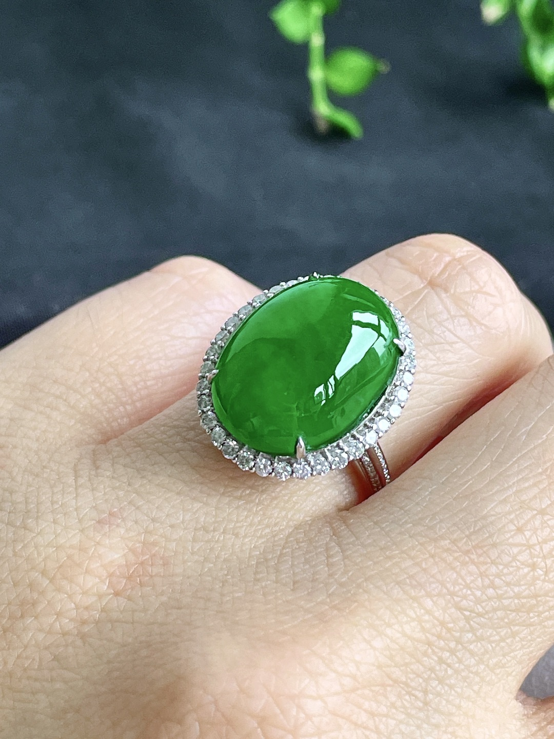 【镶嵌】冰辣绿大蛋面大鸽子蛋戒指，18k金镶嵌，无裂，性比高19.8/16.6/10.7，裸石17