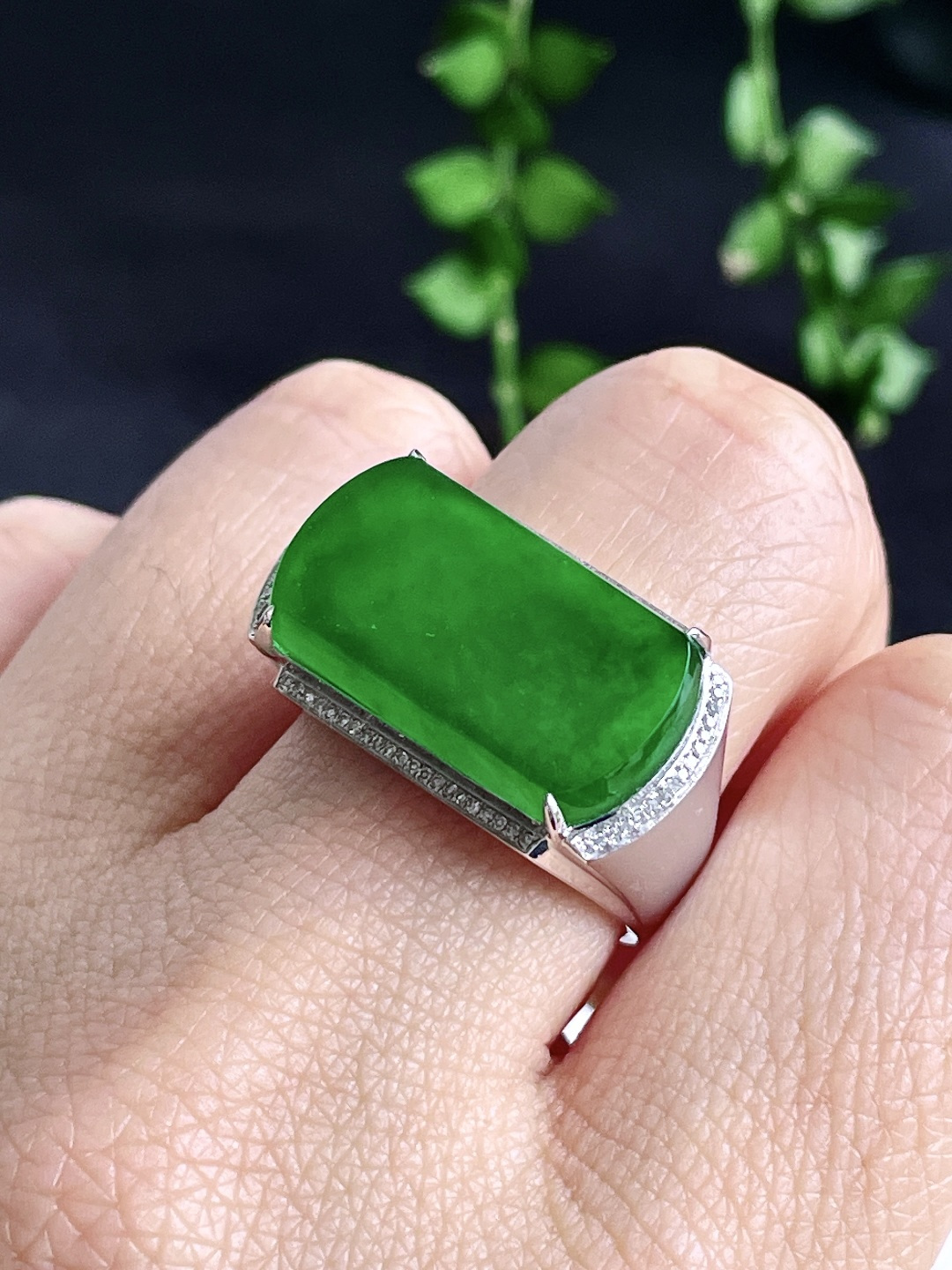 冰辣绿马鞍戒指，18k金镶嵌，无裂，性比高，20.8/11.5/2.8，20.5号，6.3克