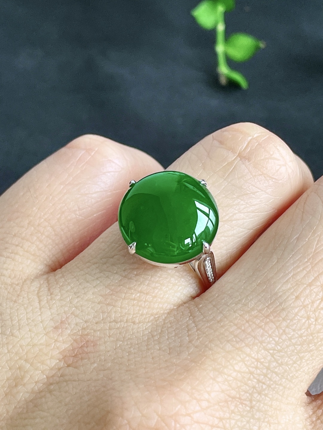 冰辣绿蛋面鸽子蛋戒指，18k金镶嵌，无裂，性比高，13.9/13.9/4，13.5号，3.2克