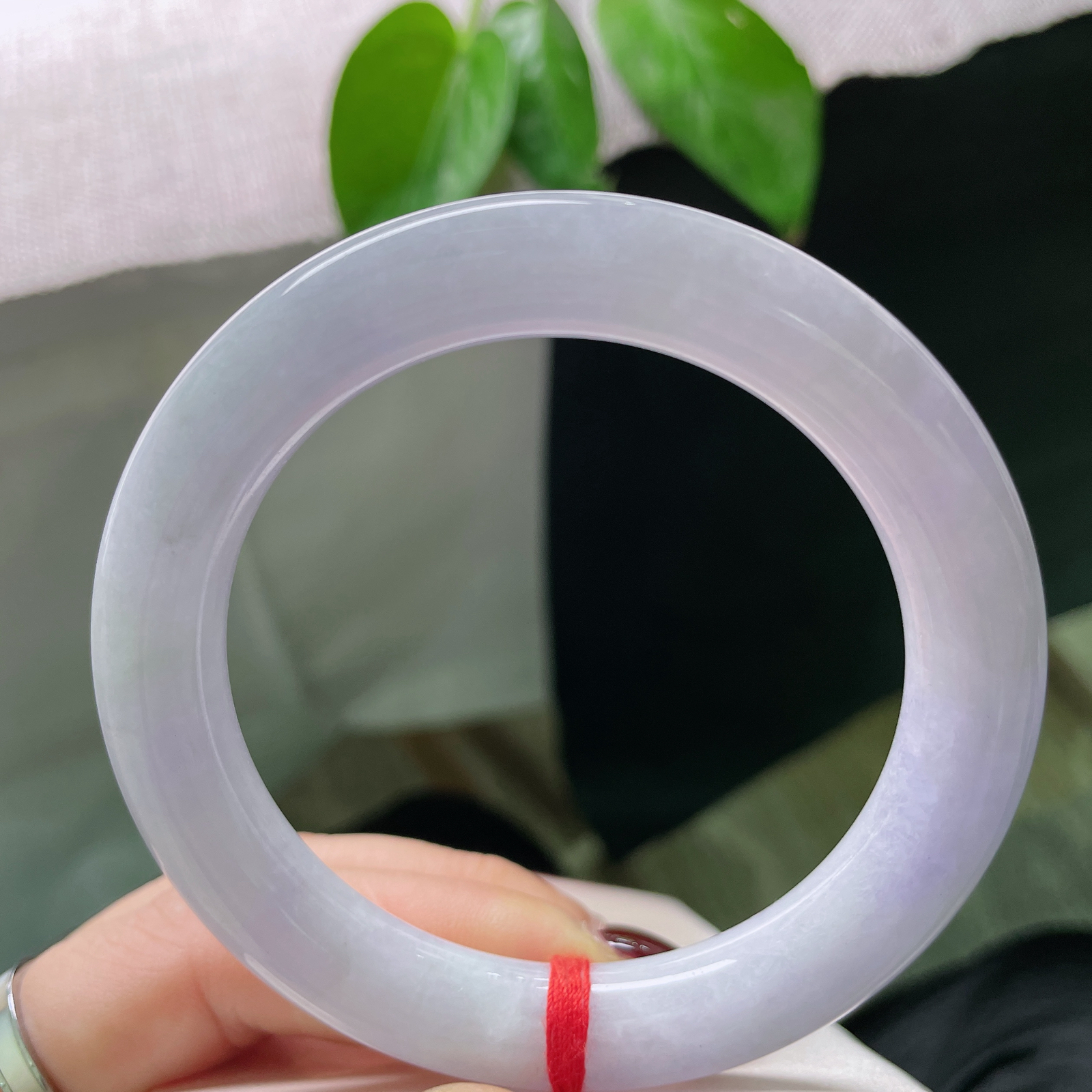 57.3/10.7紫罗兰圆条，水润细腻，优雅永不过时，婉间风华，棉线，ss50736a..