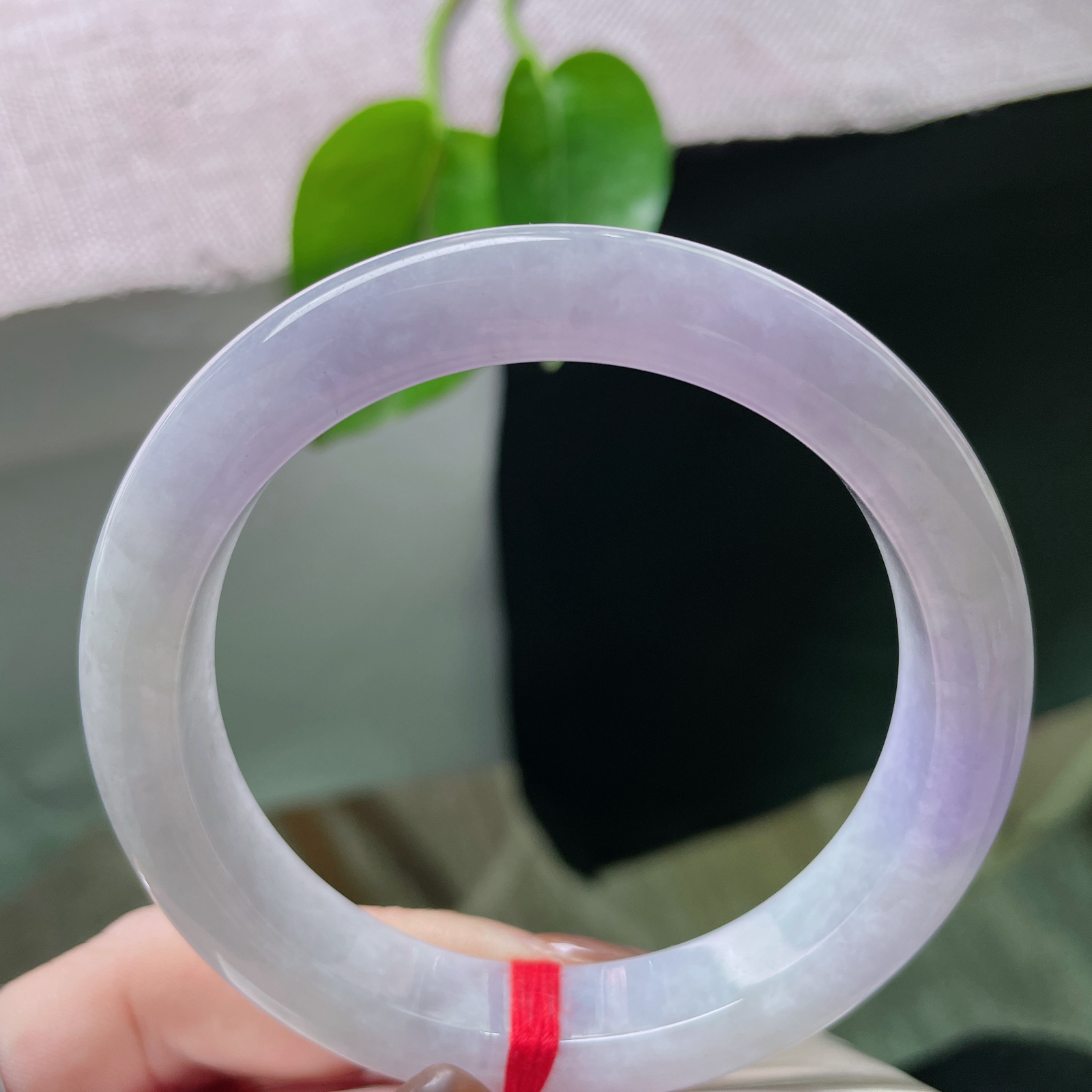 59.4/11.8/9.2，紫罗兰正圈，像是天边那一抹最温柔的晚霞，带着淡淡的紫韵，如梦如幻。ss5