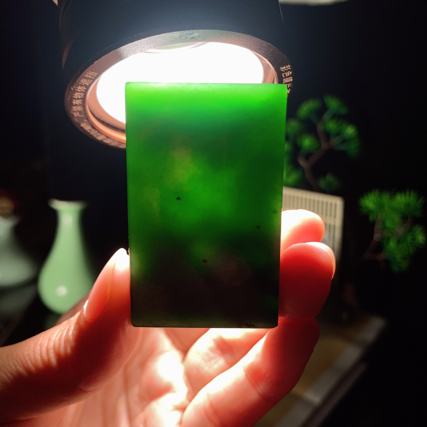 和田玉红皮料阳绿俄罗斯碧玉连年有余鱼牌子挂件。尺寸52/32/11重45克 玉质细腻油润。手推出油。佩戴高端典雅。lt260428