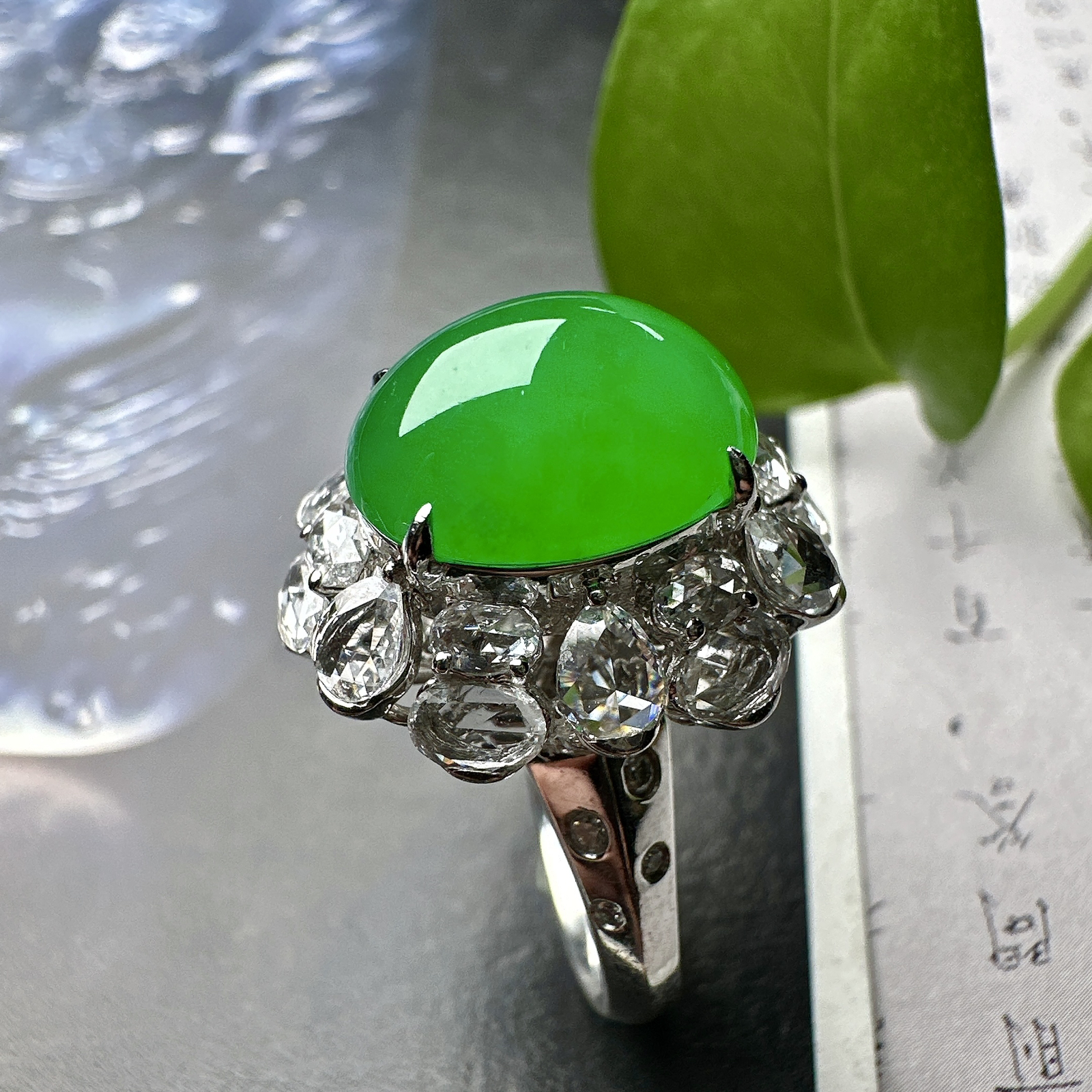 【冰种满绿蛋面戒指】质地均匀细腻，冰润起光，胶感强烈，颜色娇艳，18K金钻精美镶嵌，裸石尺寸12.8*10.2*7.5毫米