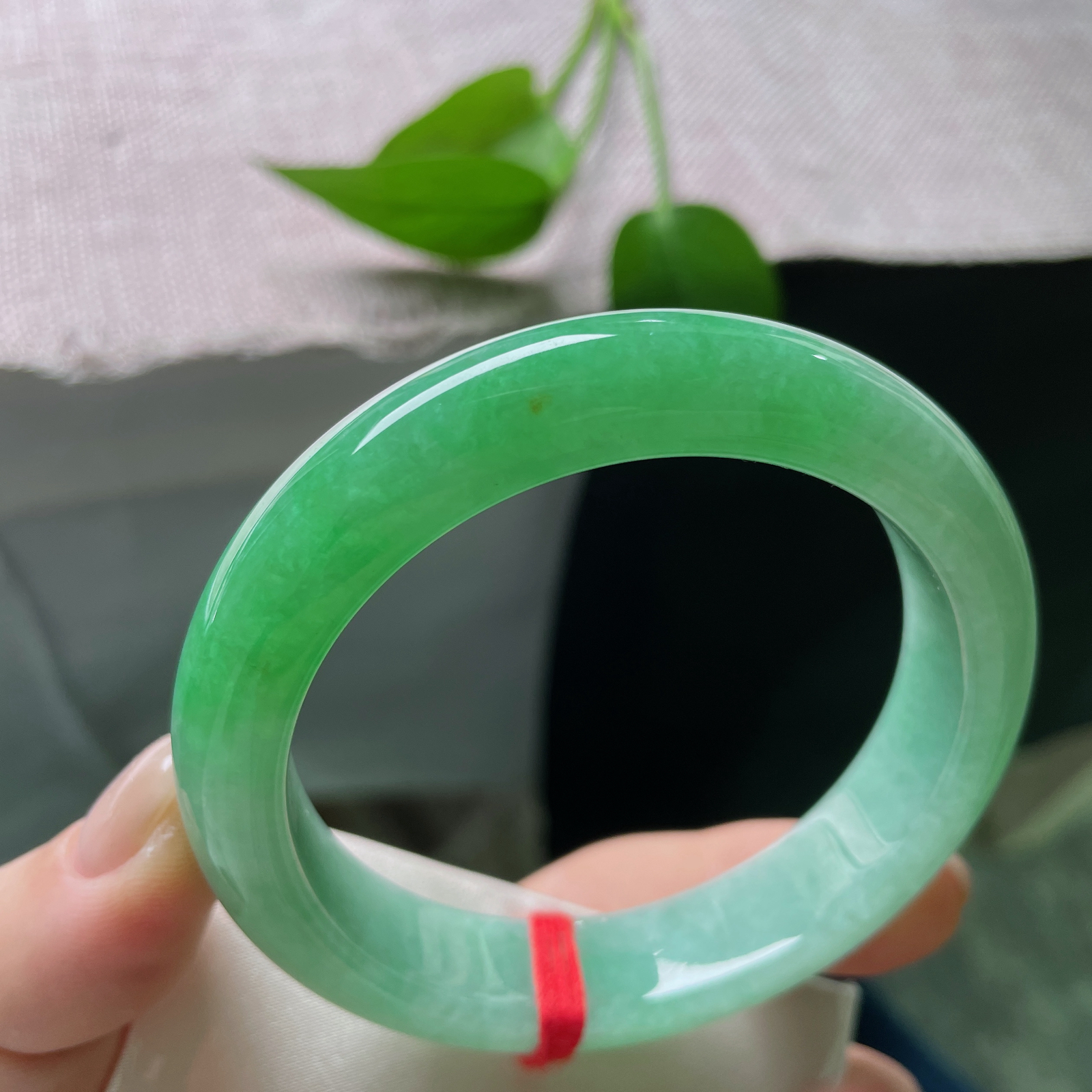 58.3/13.2/8.8，绿底正圈，凝翠一方，聚天地之碧。 满绿是大自然最慷慨的馈赠。洒金，ss51673a..