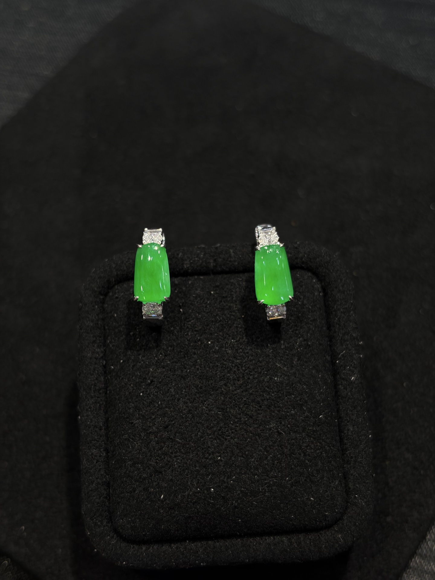 阳绿耳包～色阳～上耳显眼包，8.3/5.1/3.2