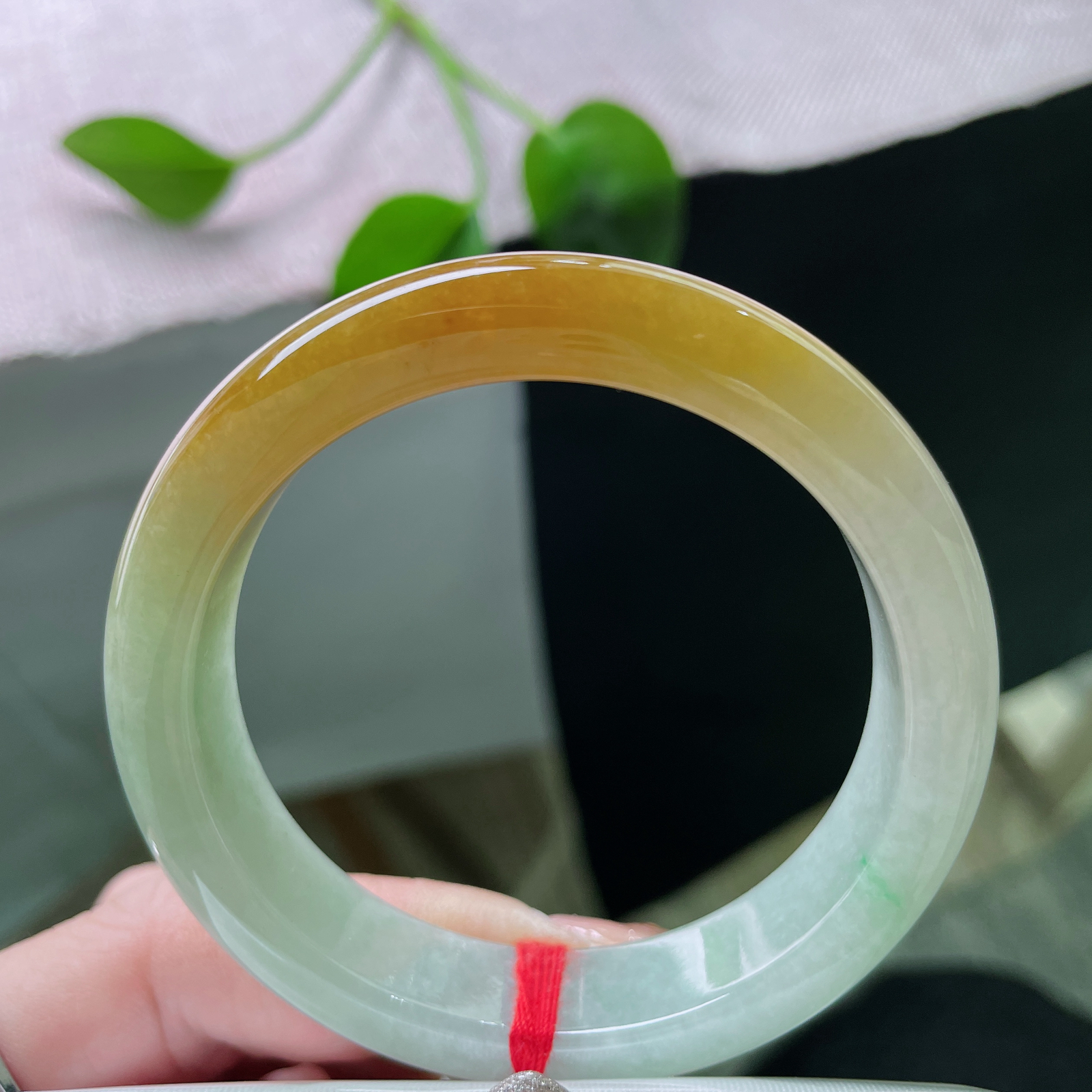 53/12.7/8.3黄翡正圈，水润细腻，金缕映婉，霞色生香，贵气，ss51783a..