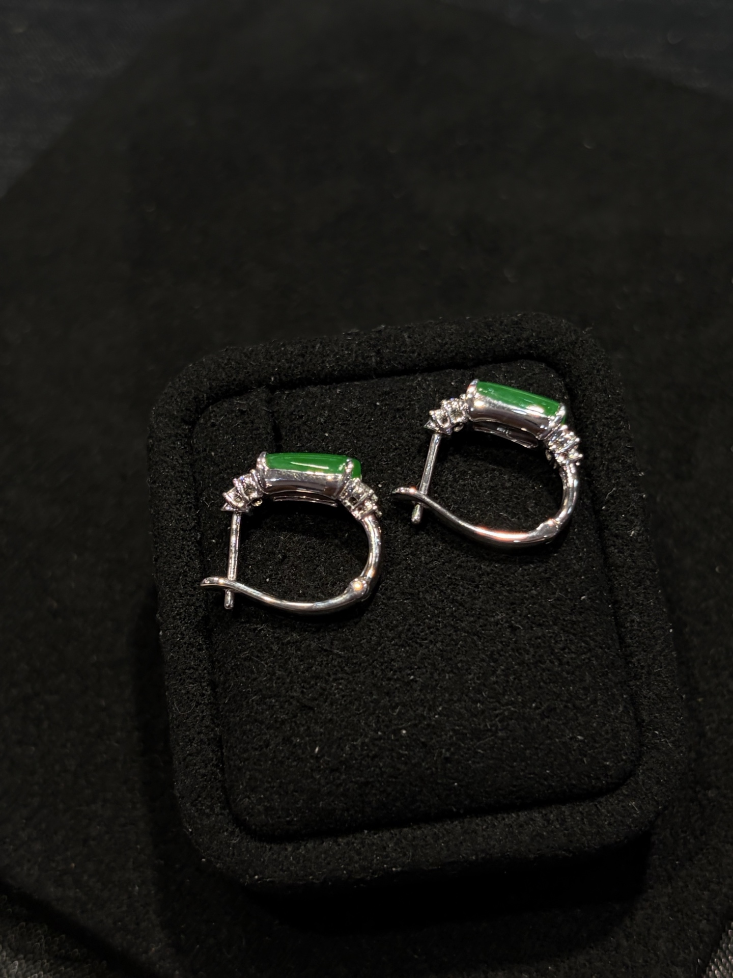 阳绿耳包～色阳～上耳显眼包，8.3/5.1/3.2