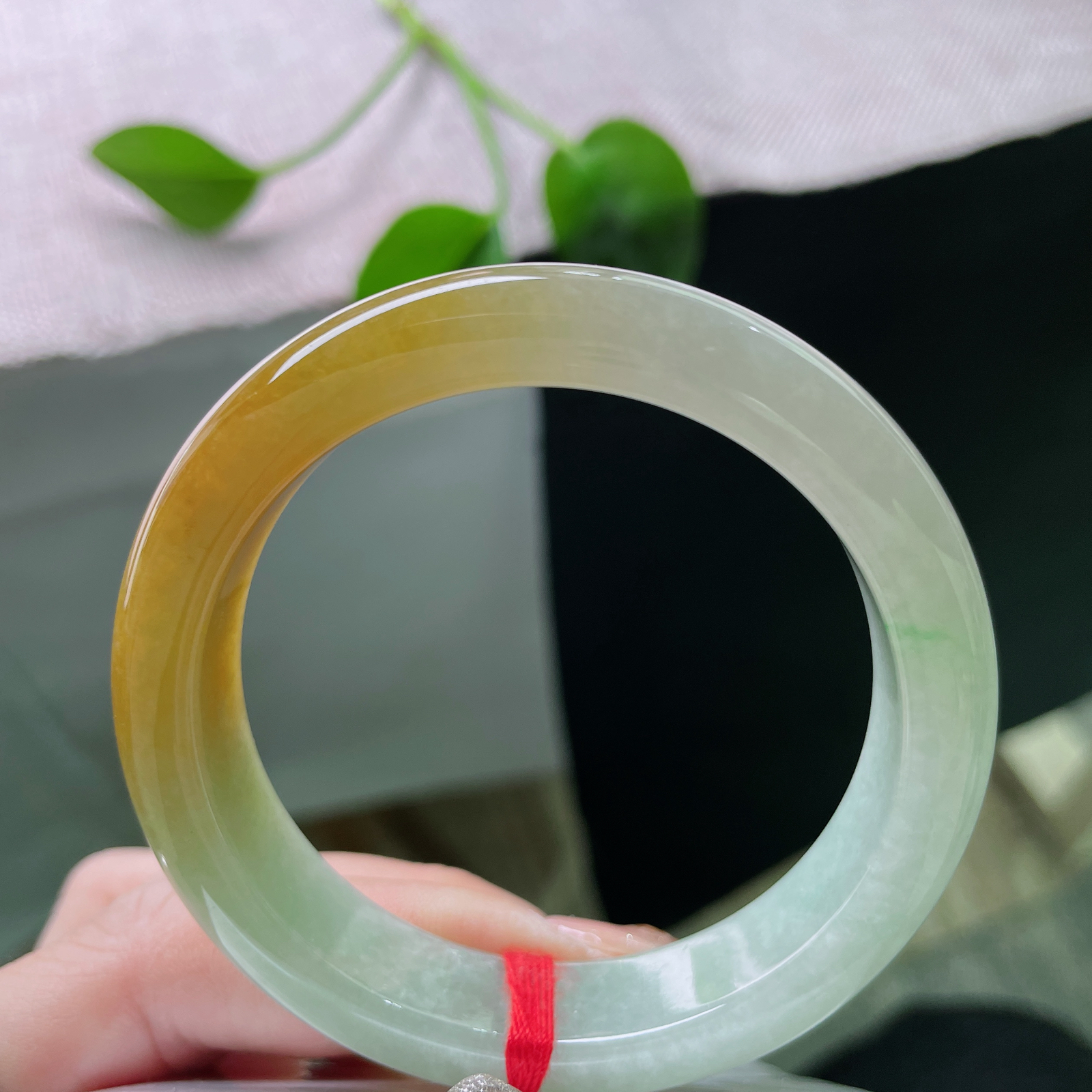 53/12.7/8.3黄翡正圈，水润细腻，金缕映婉，霞色生香，贵气，ss51783a..