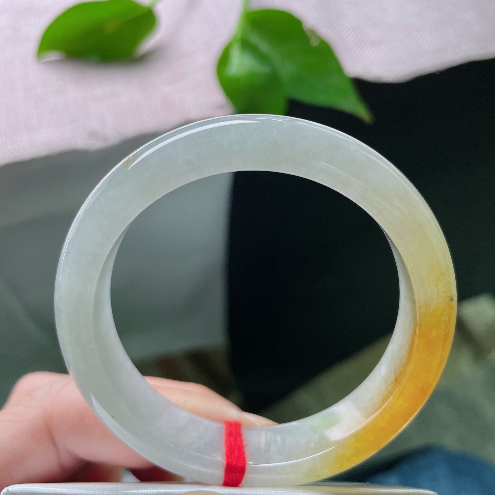 52.6/12.4/7.8黄翡正圈，金辉凝玉，一镯一温柔。上手自带氛围感。洒乌鸡，ss50933a.