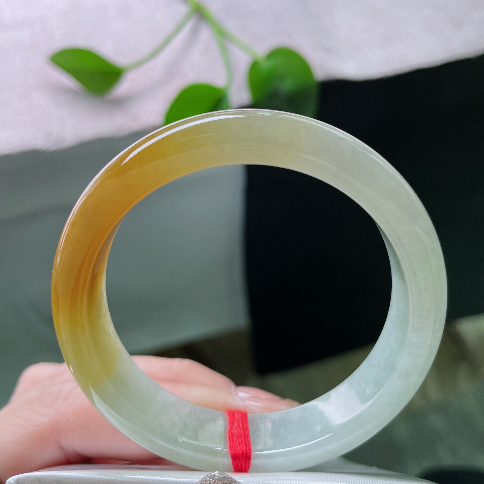 52.2/12.6/7.4黄翡正圈，冰润细腻，翡色澄净，一片黄韵的云霞，典雅中藏着生机，ss49561a..