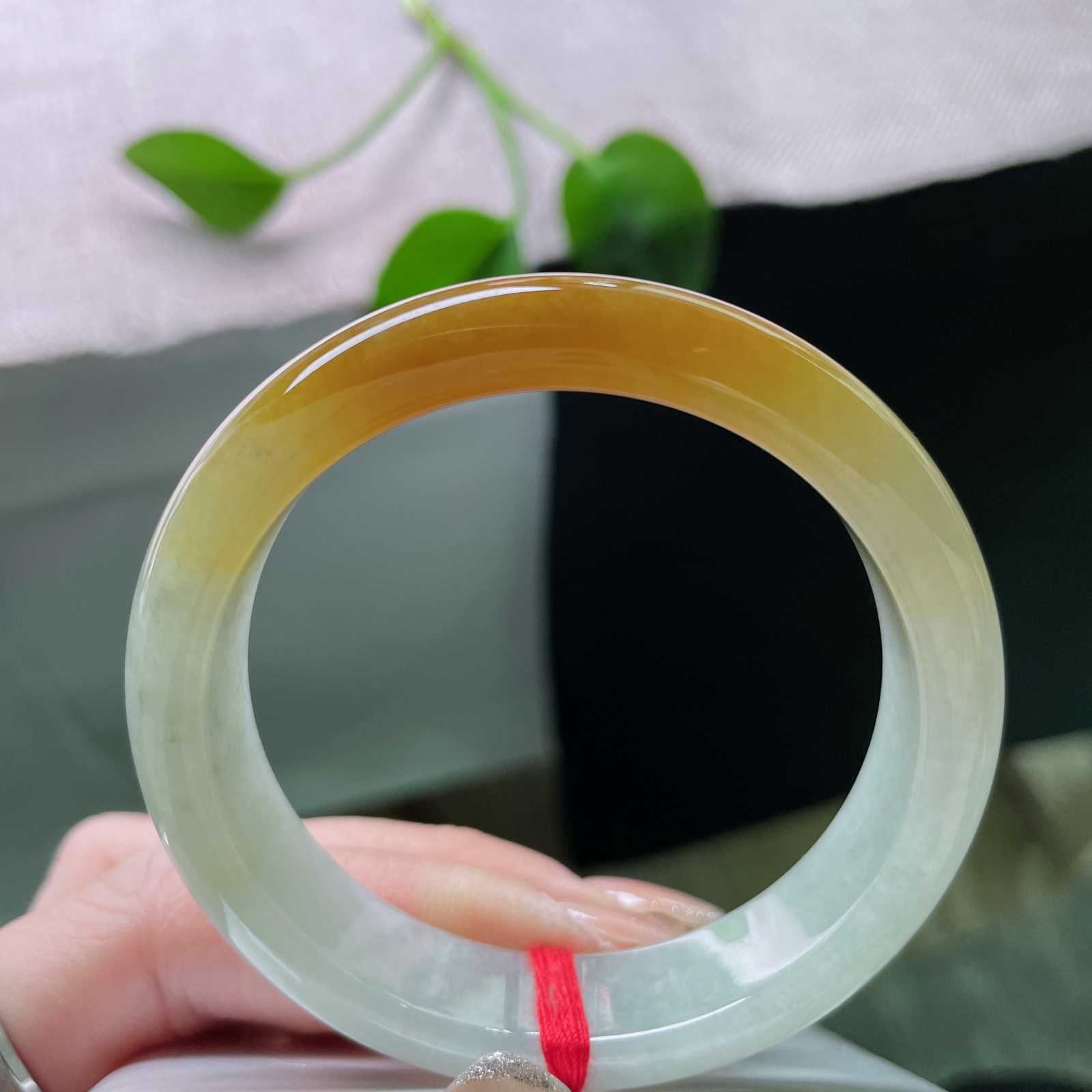 52.2/12.6/7.4黄翡正圈，冰润细腻，翡色澄净，一片黄韵的云霞，典雅中藏着生机，ss4956