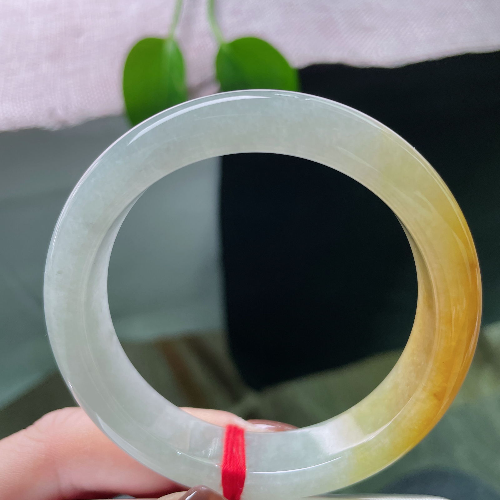 54.6/12.7/8.3，黄翡正圈，腕上生秋，内有乾坤。是落日熔金，也是晨光熹微。ss49592