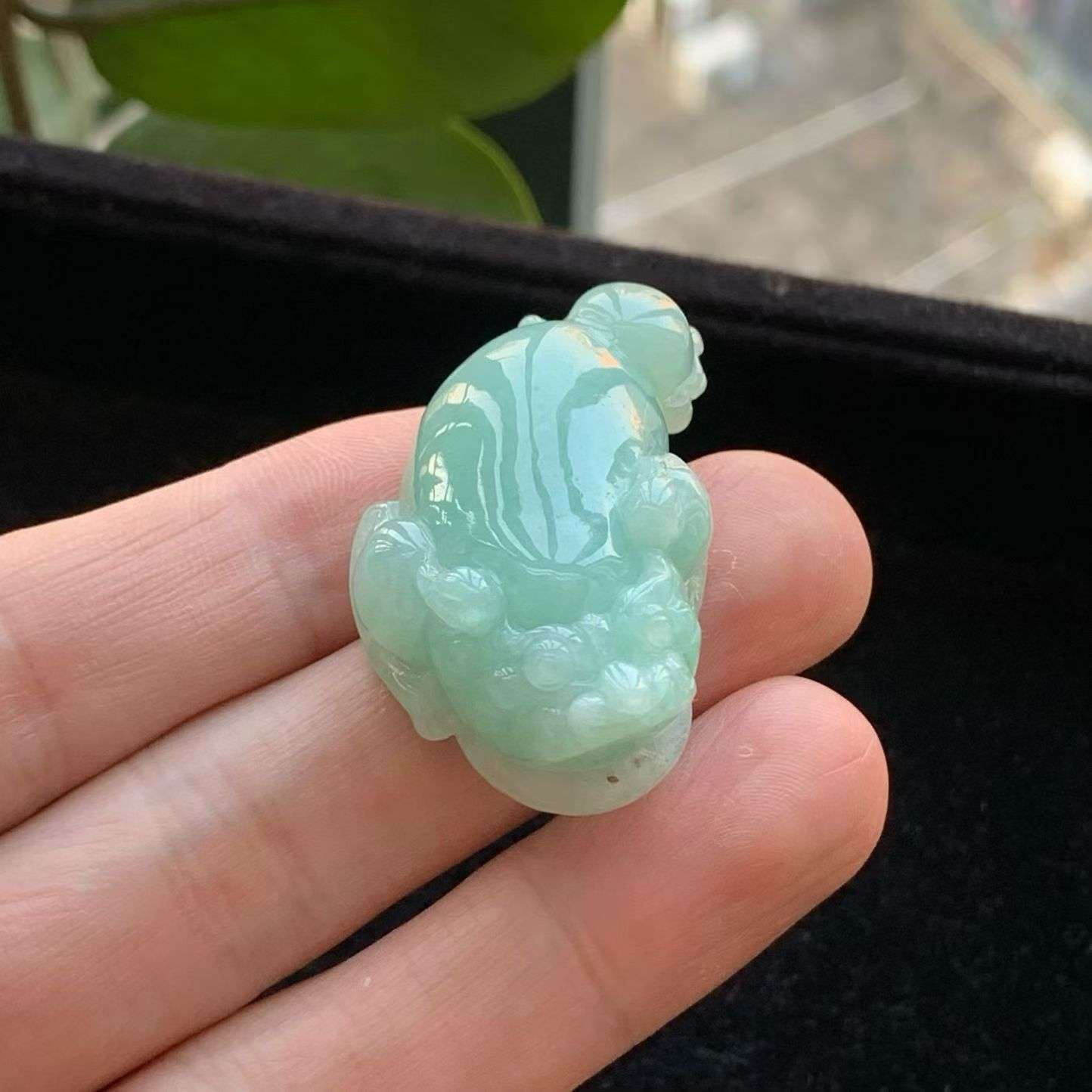 A货天然翡翠冰糯种满绿金蟾吊坠重量22.92g
5月9日