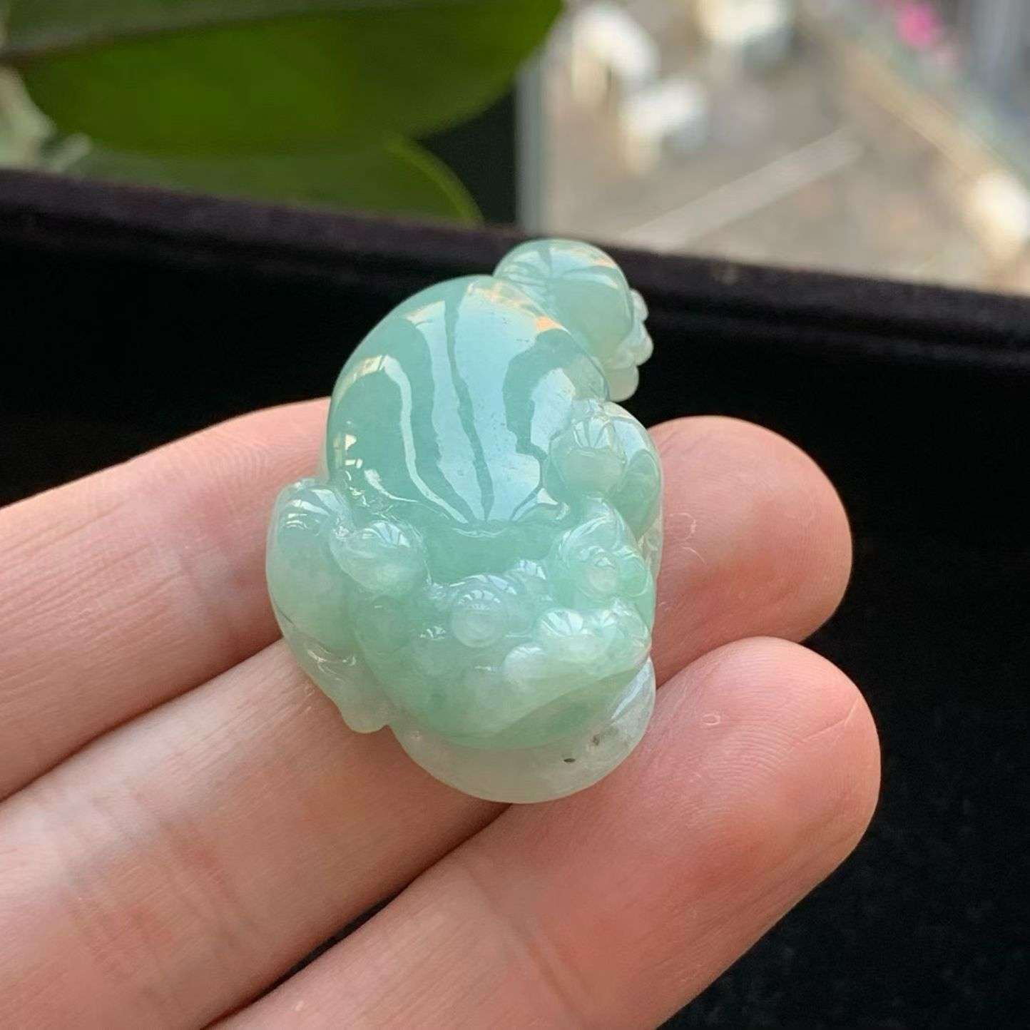 A货天然翡翠冰糯种满绿金蟾吊坠重量22.92g
5月21日
