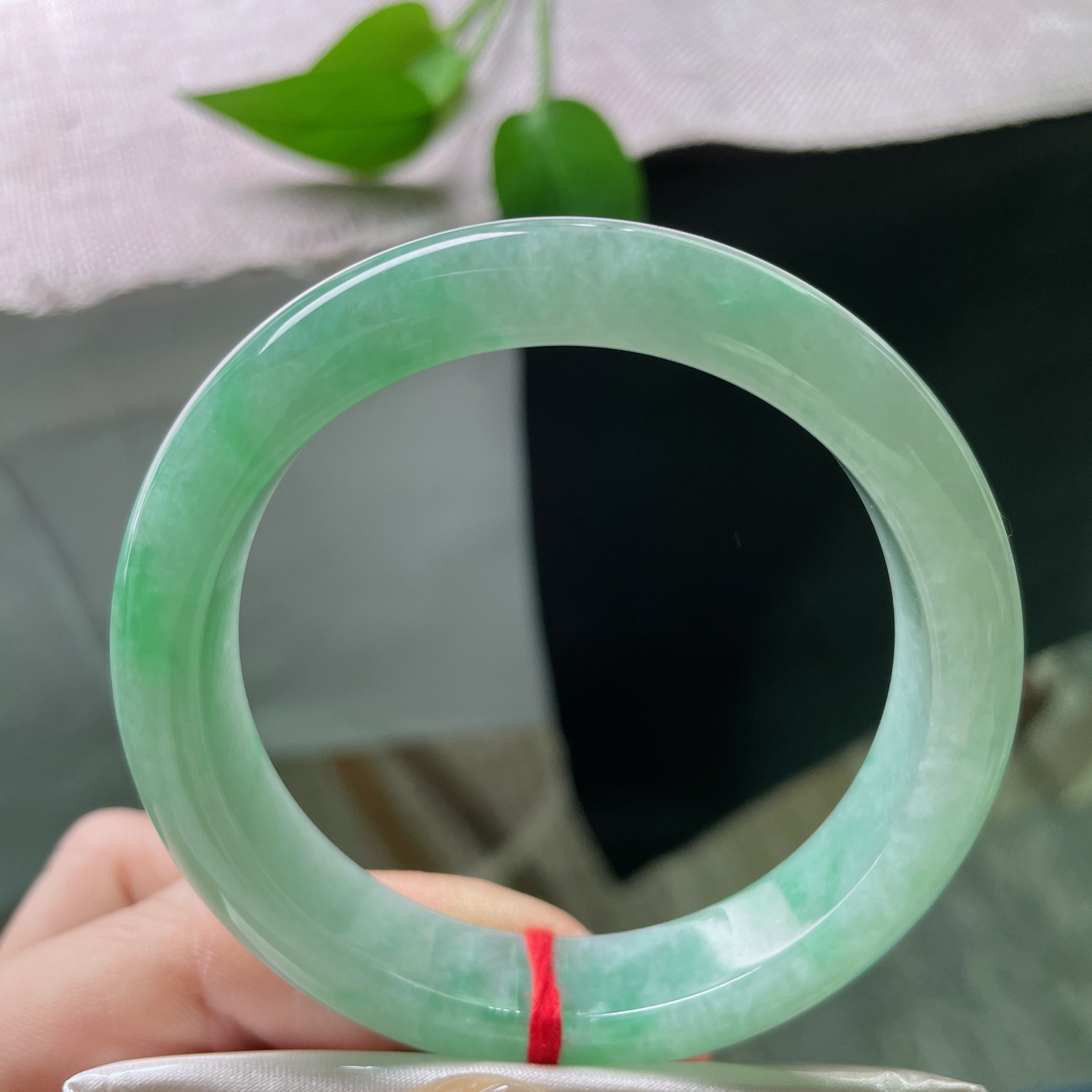 55.6/12.1/8.2，绿底正圈，水头好，种老，清爽自然，显白显气质，ss51648a..