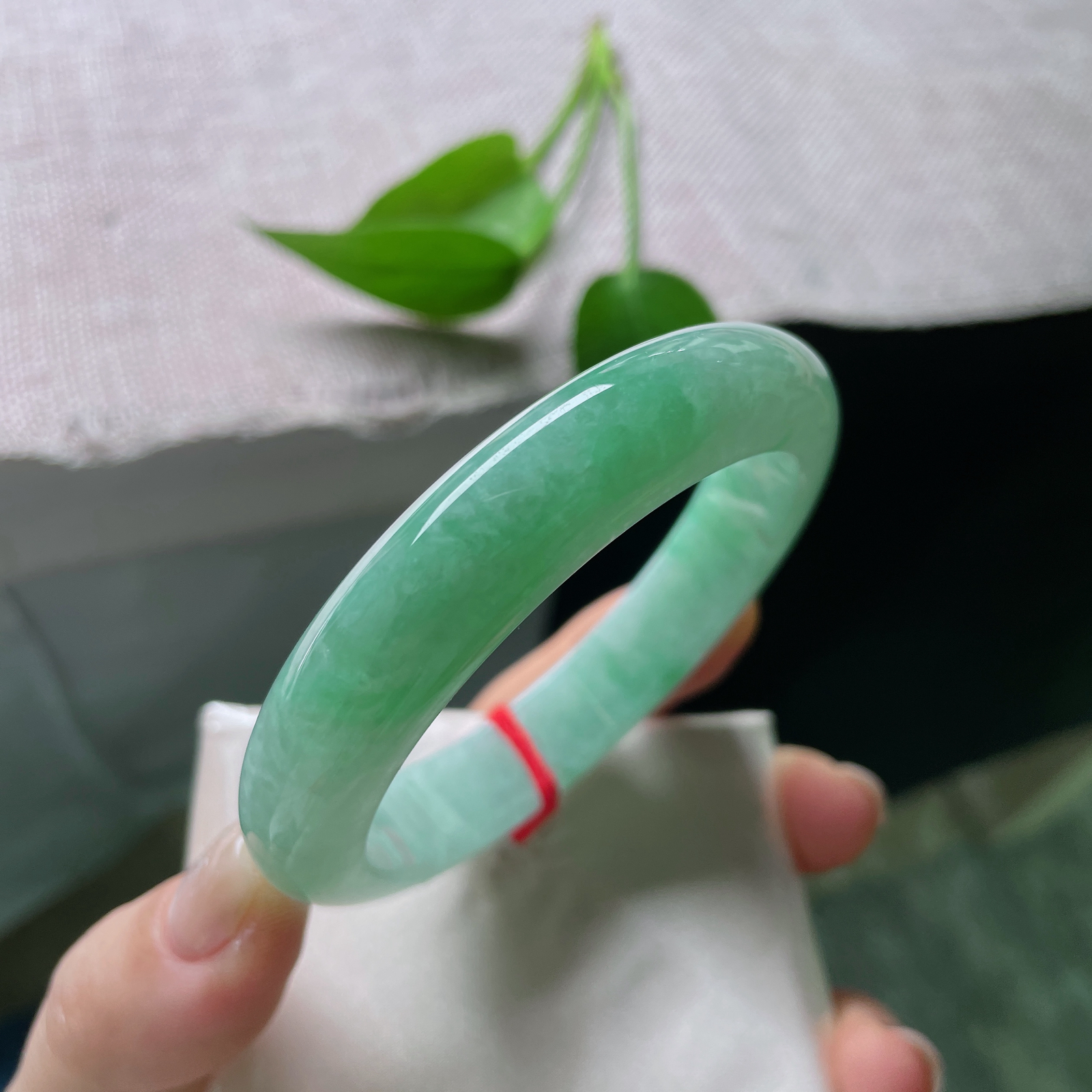 55.6/12.1/8.2，绿底正圈，水头好，种老，清爽自然，显白显气质，ss51648a..