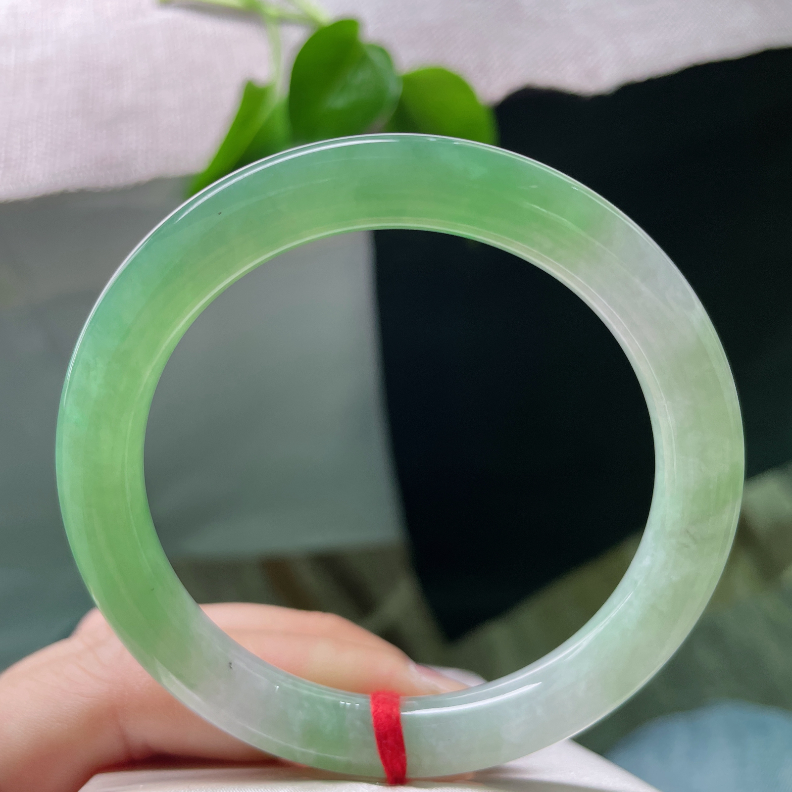 56.6/8.6，绿底圆条，一缕淡绿在清透的腕间流转，如远山含黛的薄雾。皮纹，ss50099a..