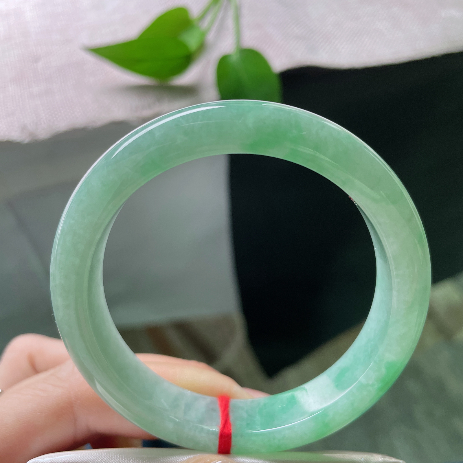 55.6/12.1/8.2，绿底正圈，水头好，种老，清爽自然，显白显气质，ss51648a..
