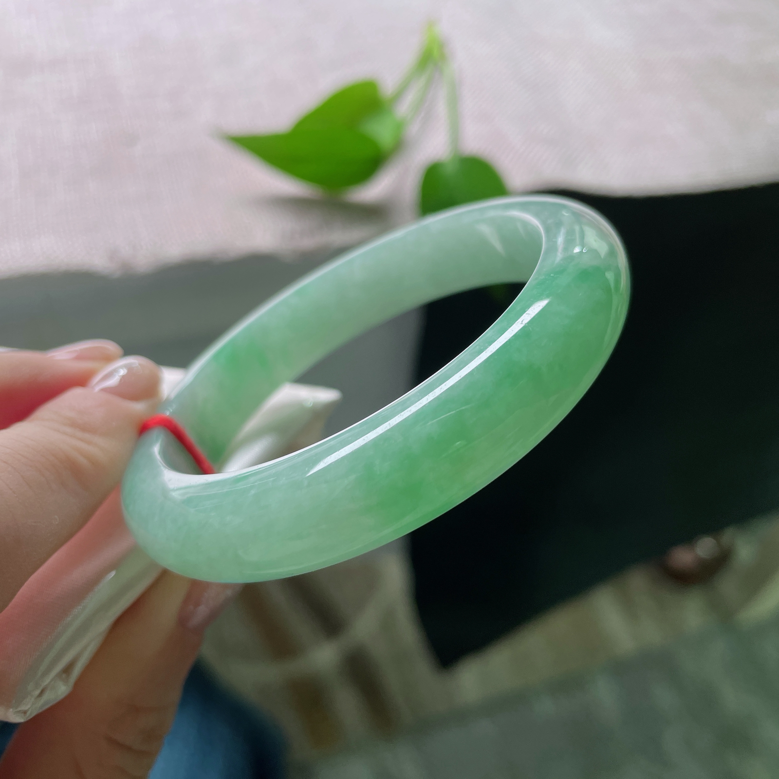 55.6/12.1/8.2，绿底正圈，水头好，种老，清爽自然，显白显气质，ss51648a..