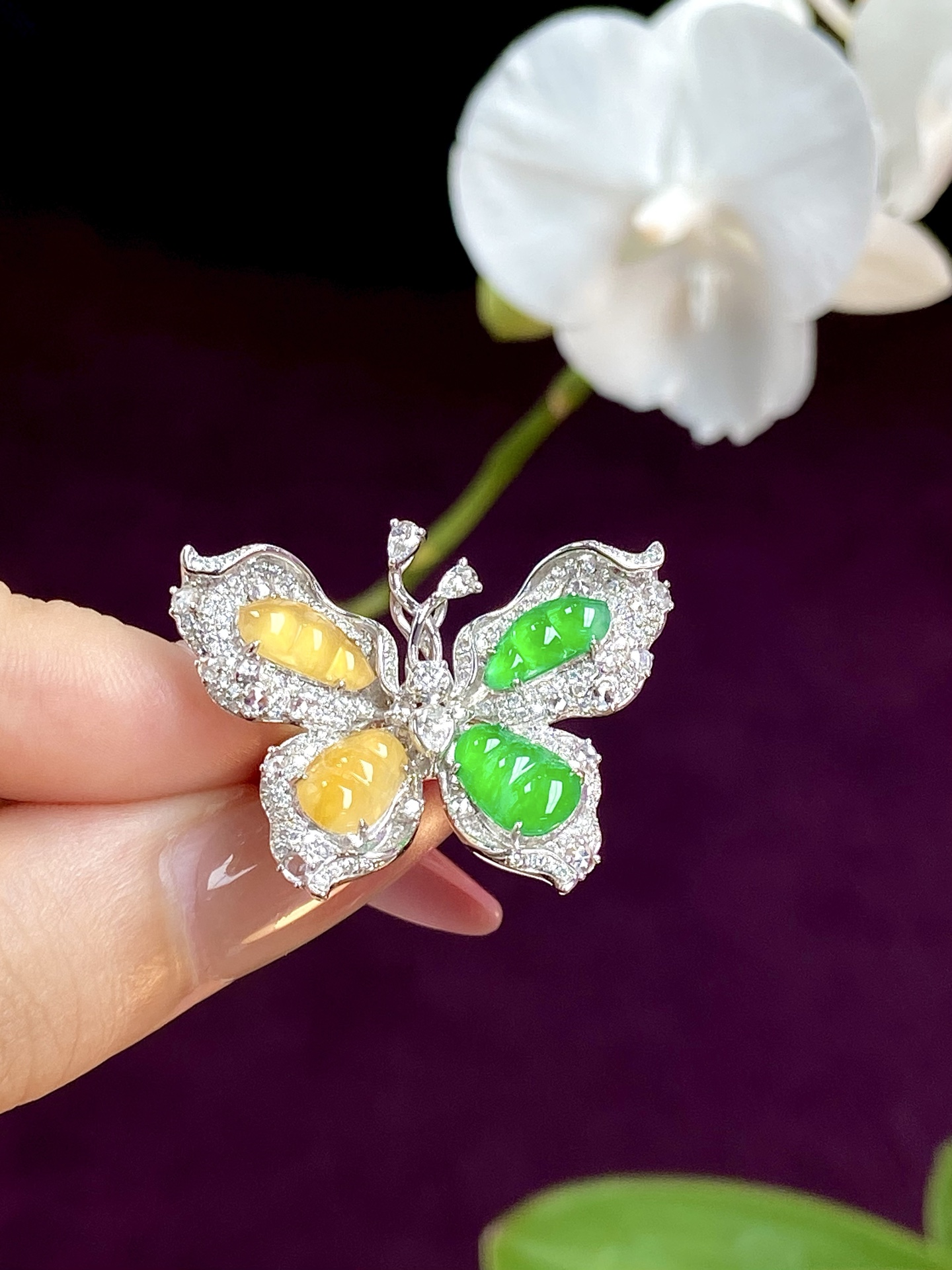 ️冰种黄加绿福豆戒指吊坠两用款，两种颜色碰撞，自带清新灵韵，温润又显贵，寓意着双福降临：32.8/25.9/4.5，裸石：9.6/4.3/2.6mm，无裂