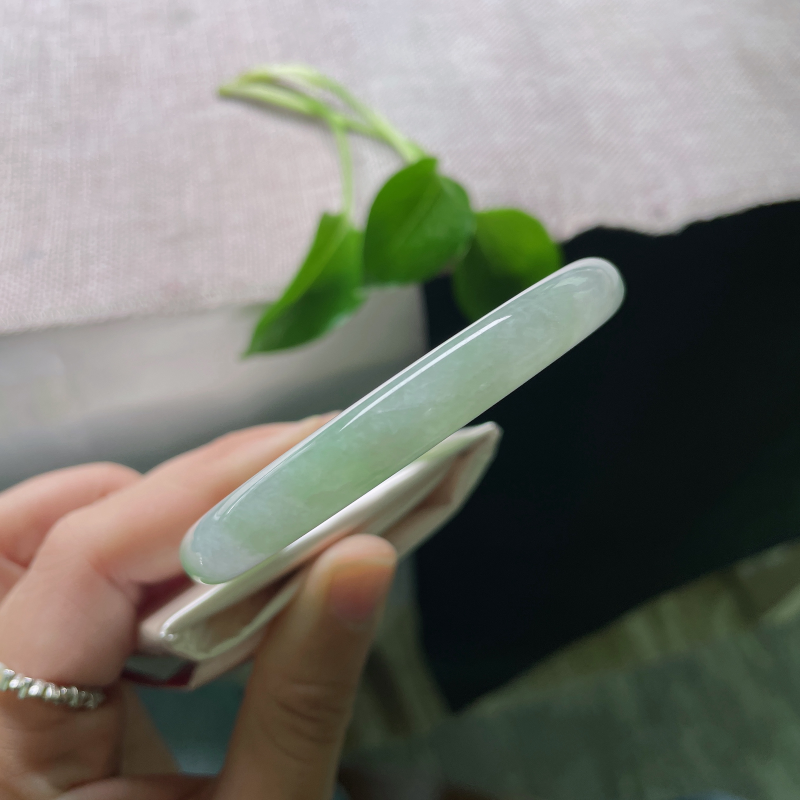56.6/8.6，绿底圆条，一缕淡绿在清透的腕间流转，如远山含黛的薄雾。皮纹，ss50099a..
