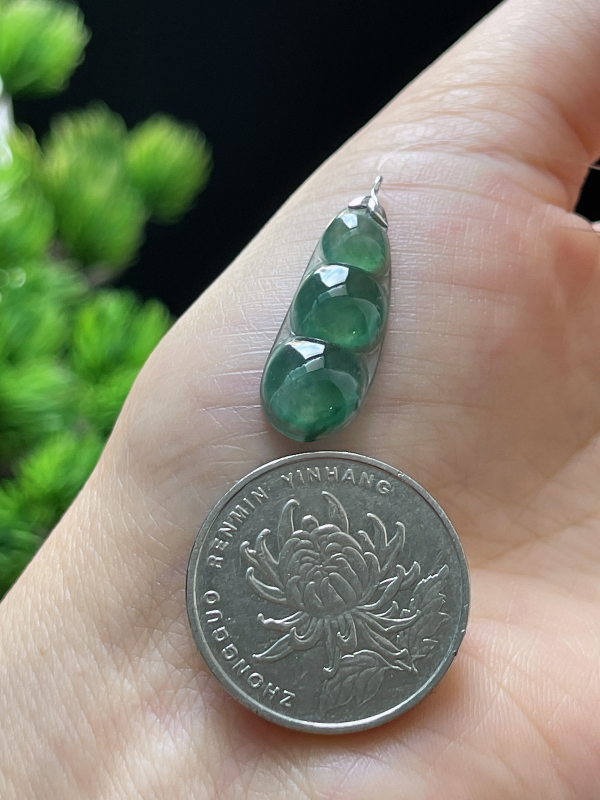 18k金 翡翠冰糯种飘绿福豆